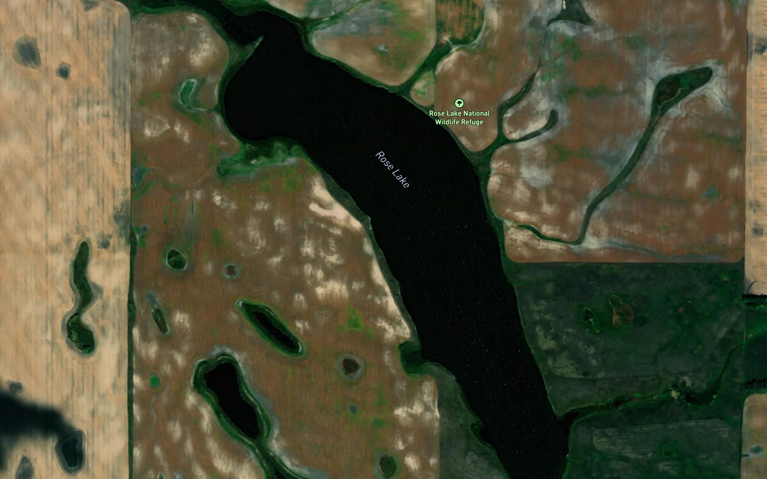 Rose Lake