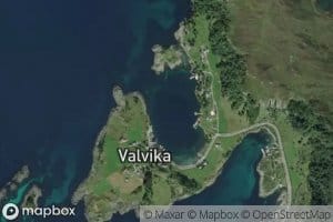 Valvika
