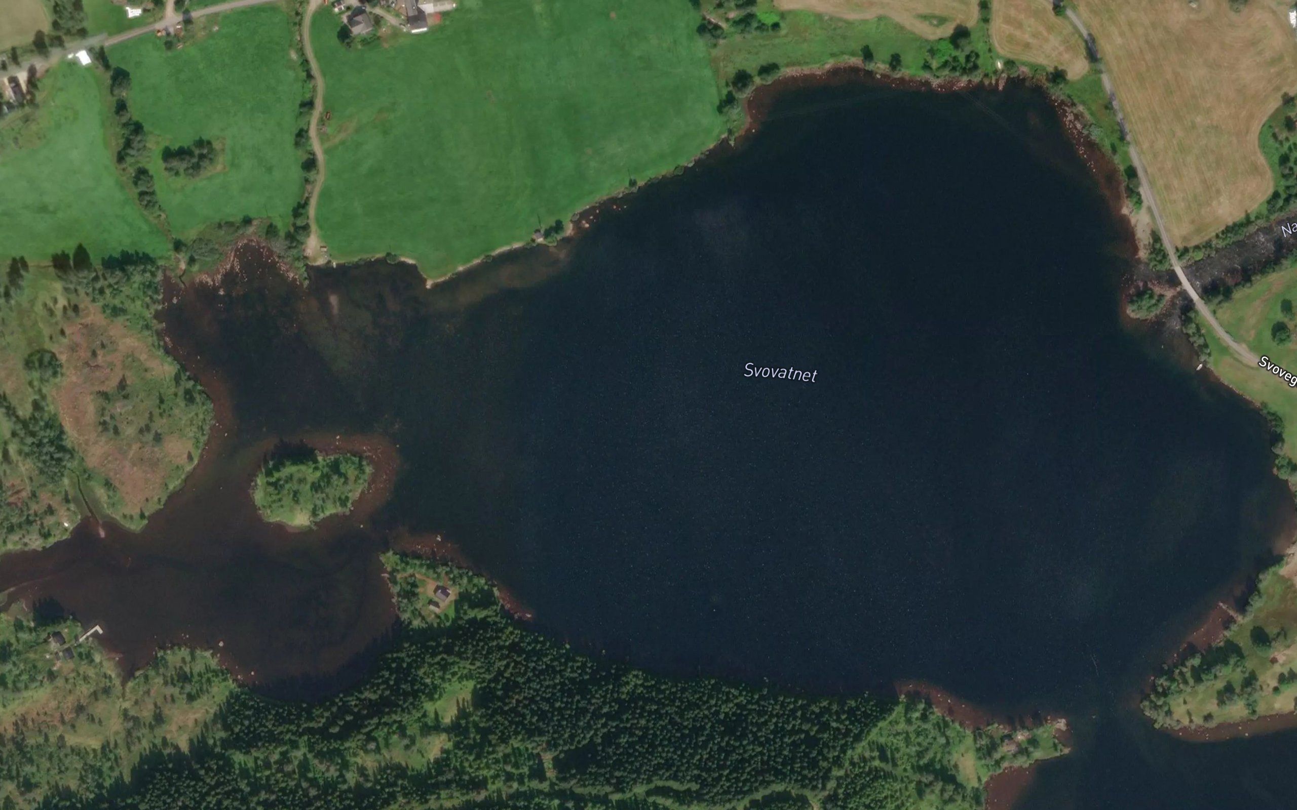 Svovatnet