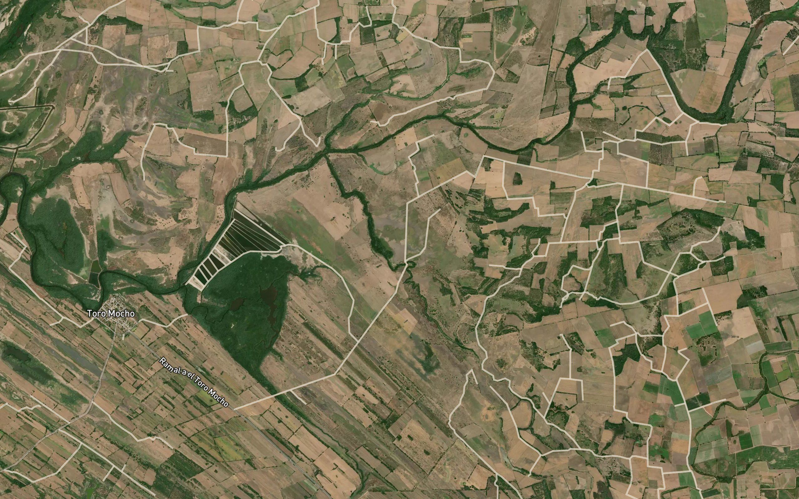 Laguna la Borrosa