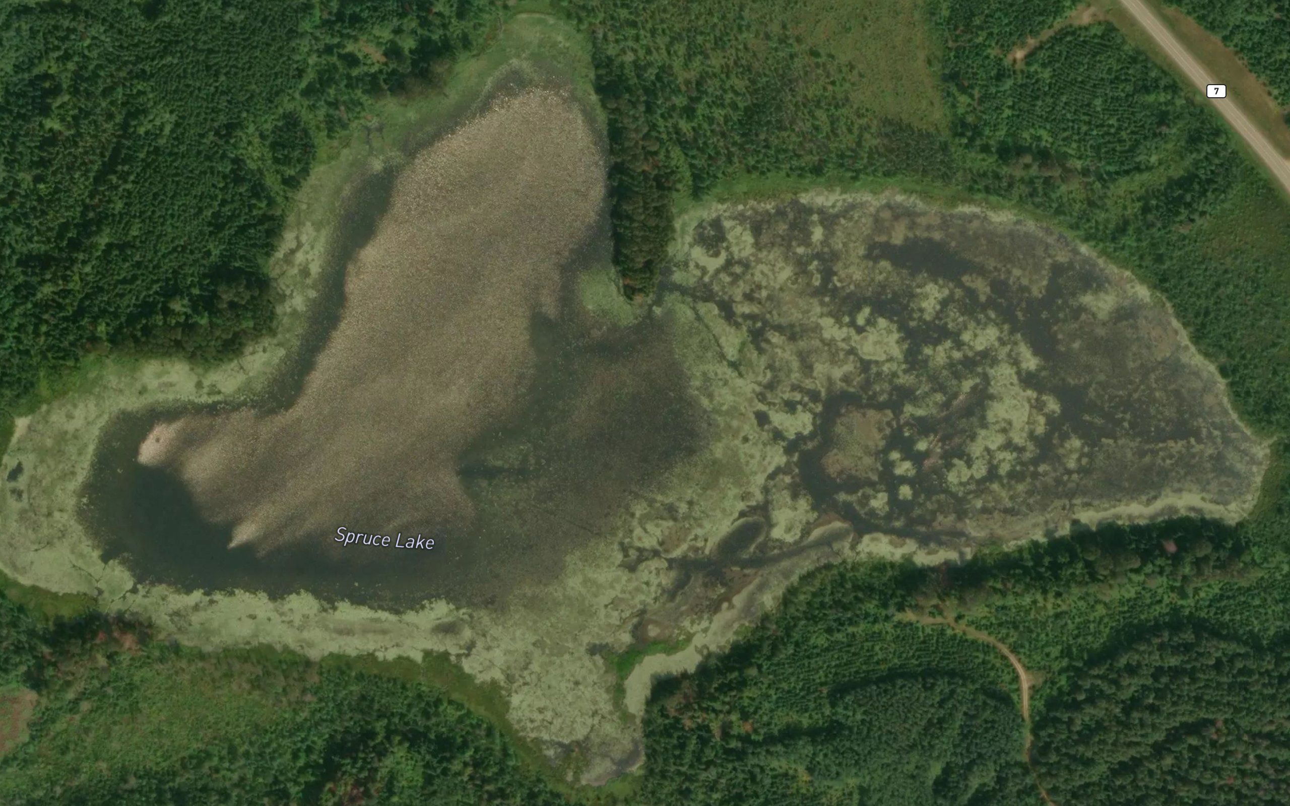 Spruce Lake