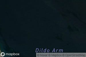 Dildo Arm