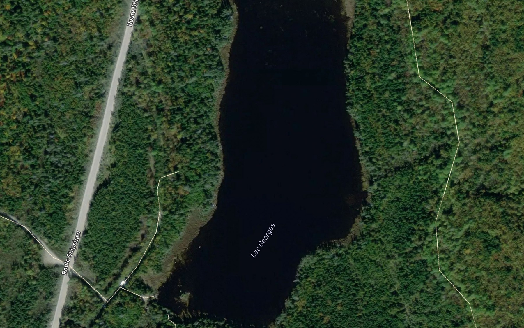 Satellite map of the Lac Georges