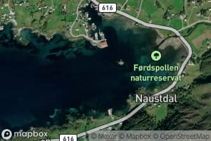 Fordspollen