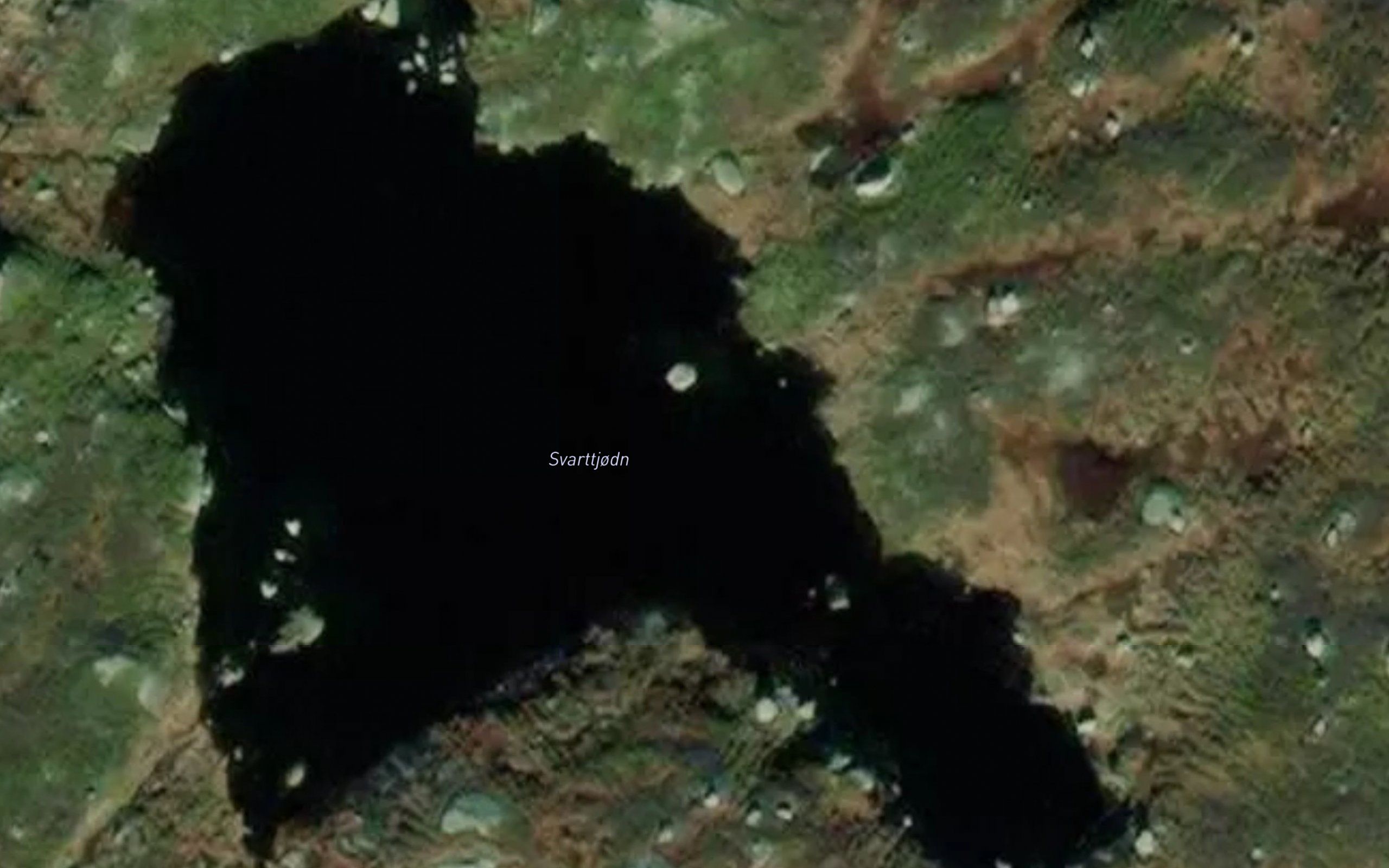 Svarttjodn