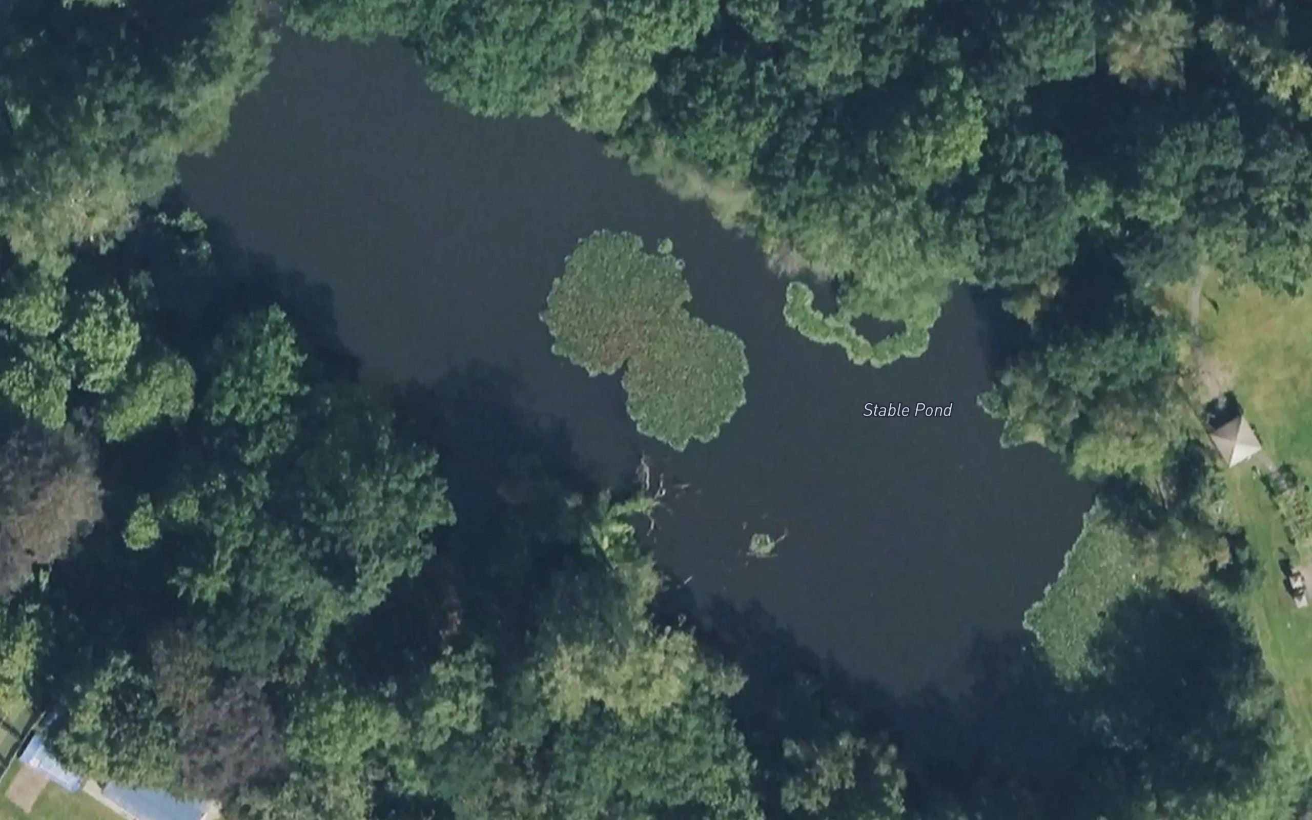 Stable Pond