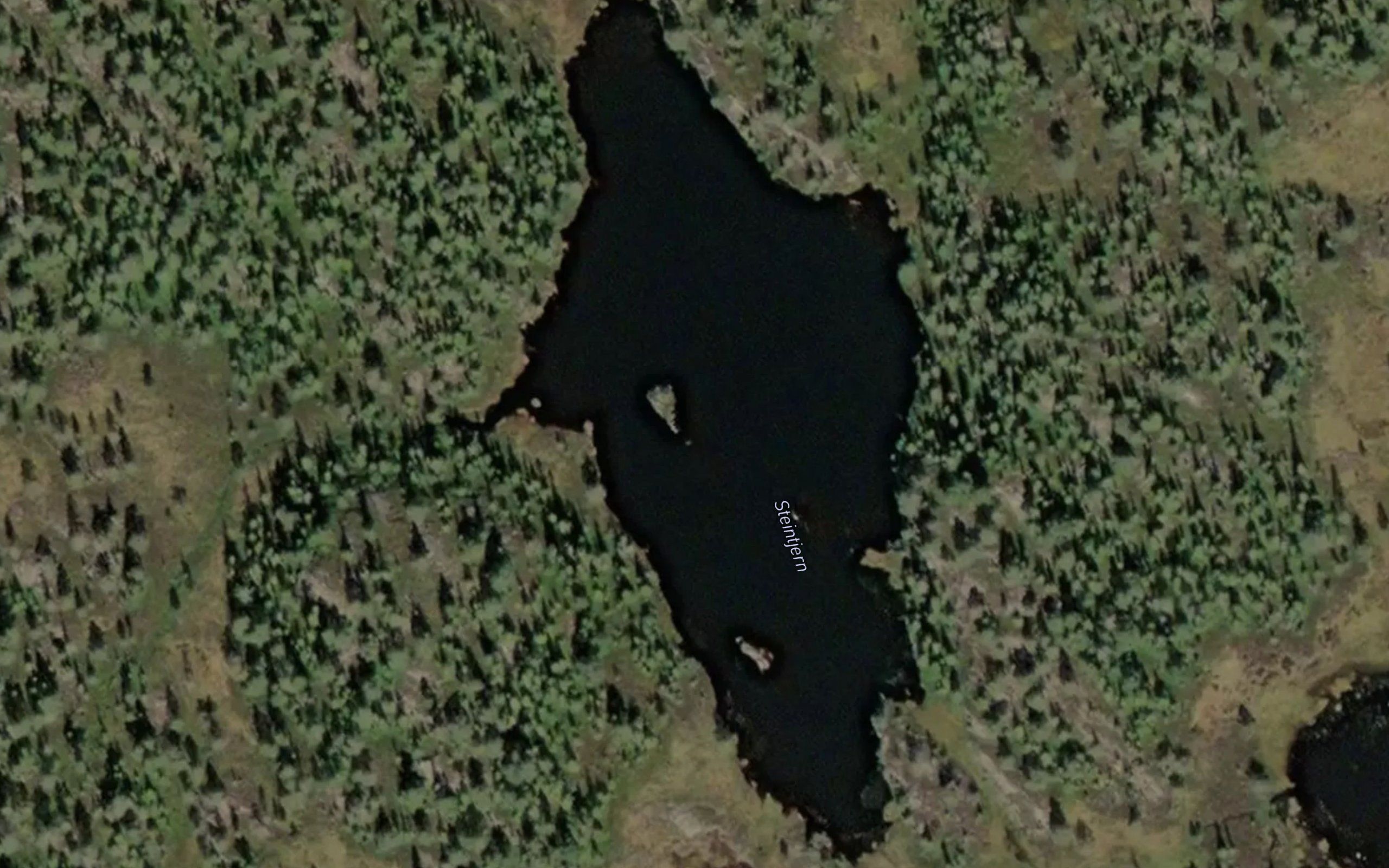 Steintjern