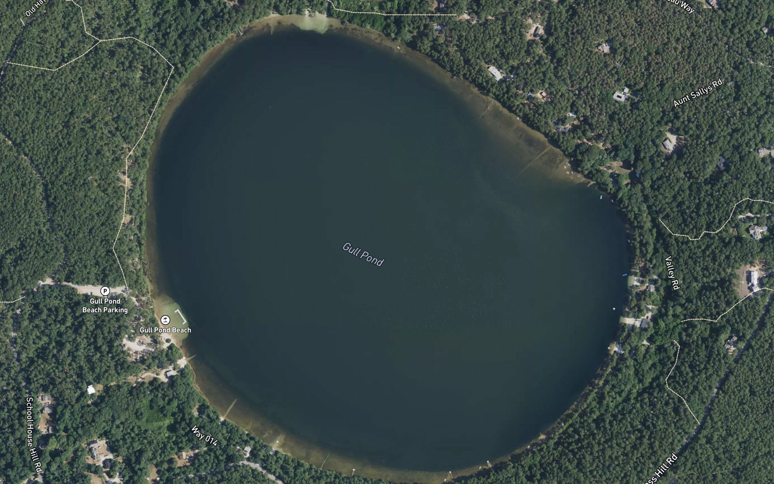 Gull Pond