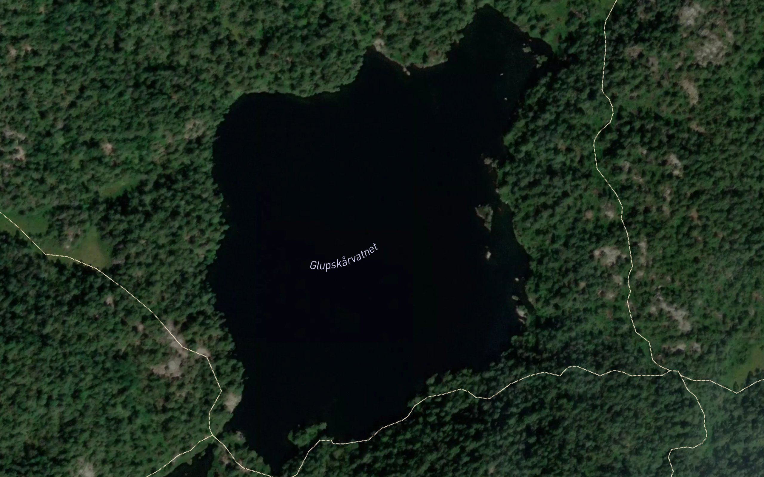Gluvskarvann
