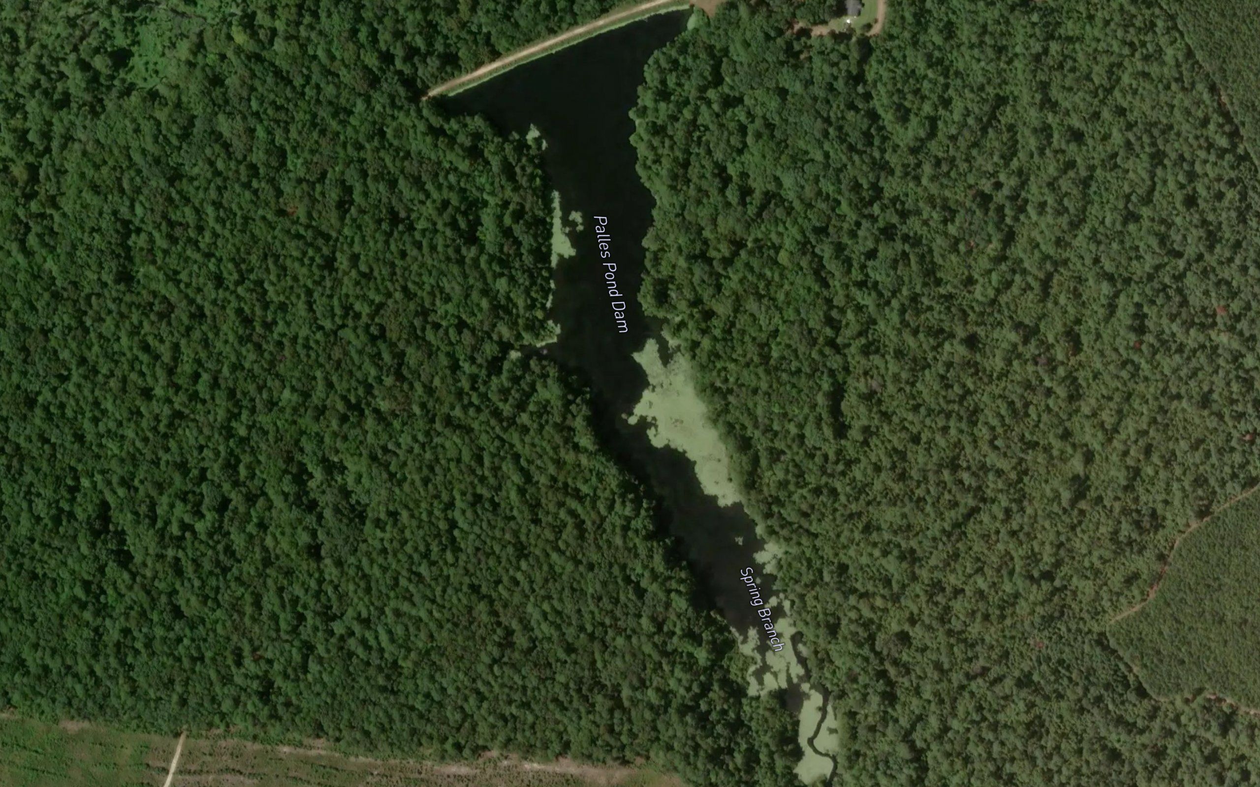 Palles Pond Dam