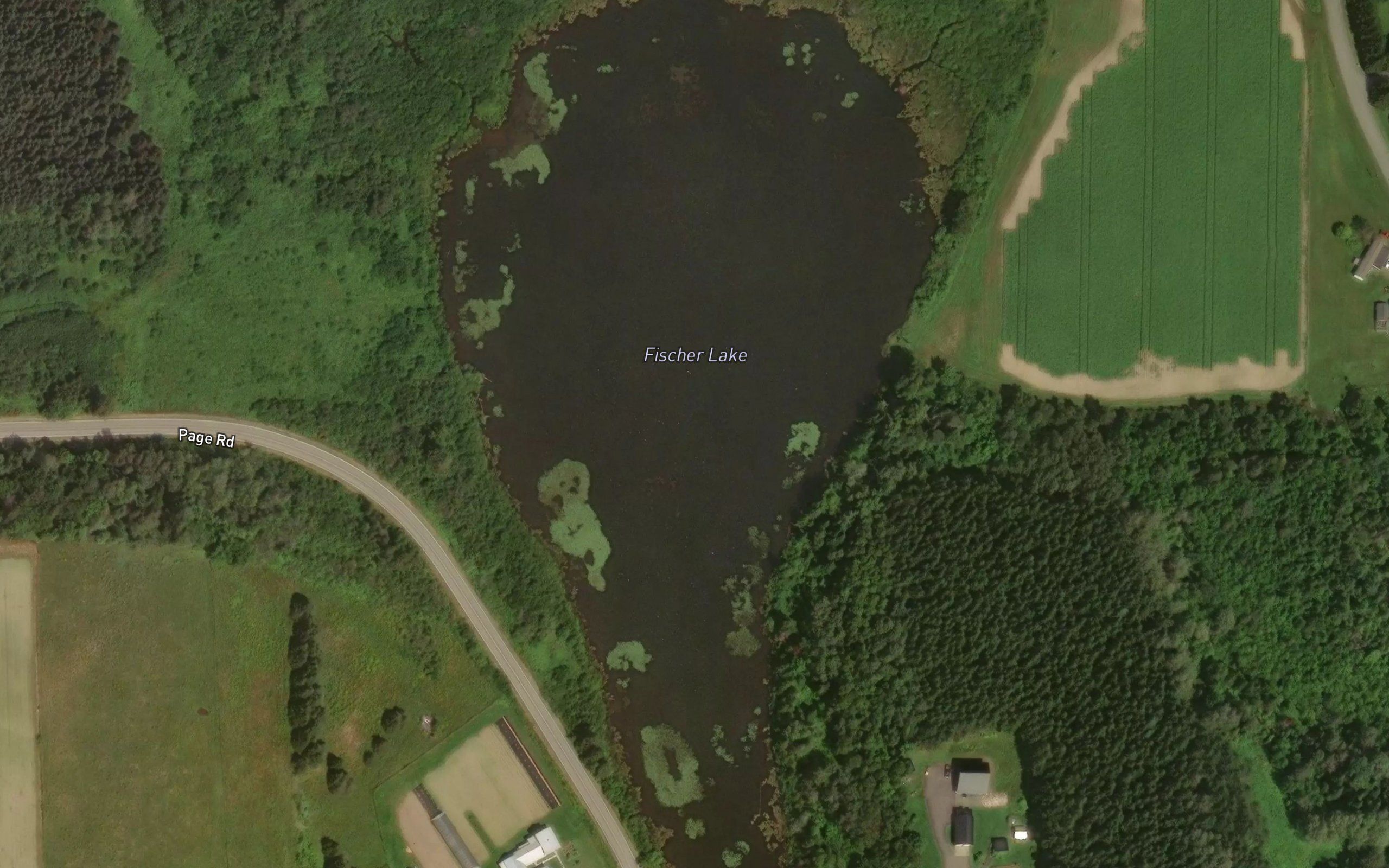 Fischer Lake