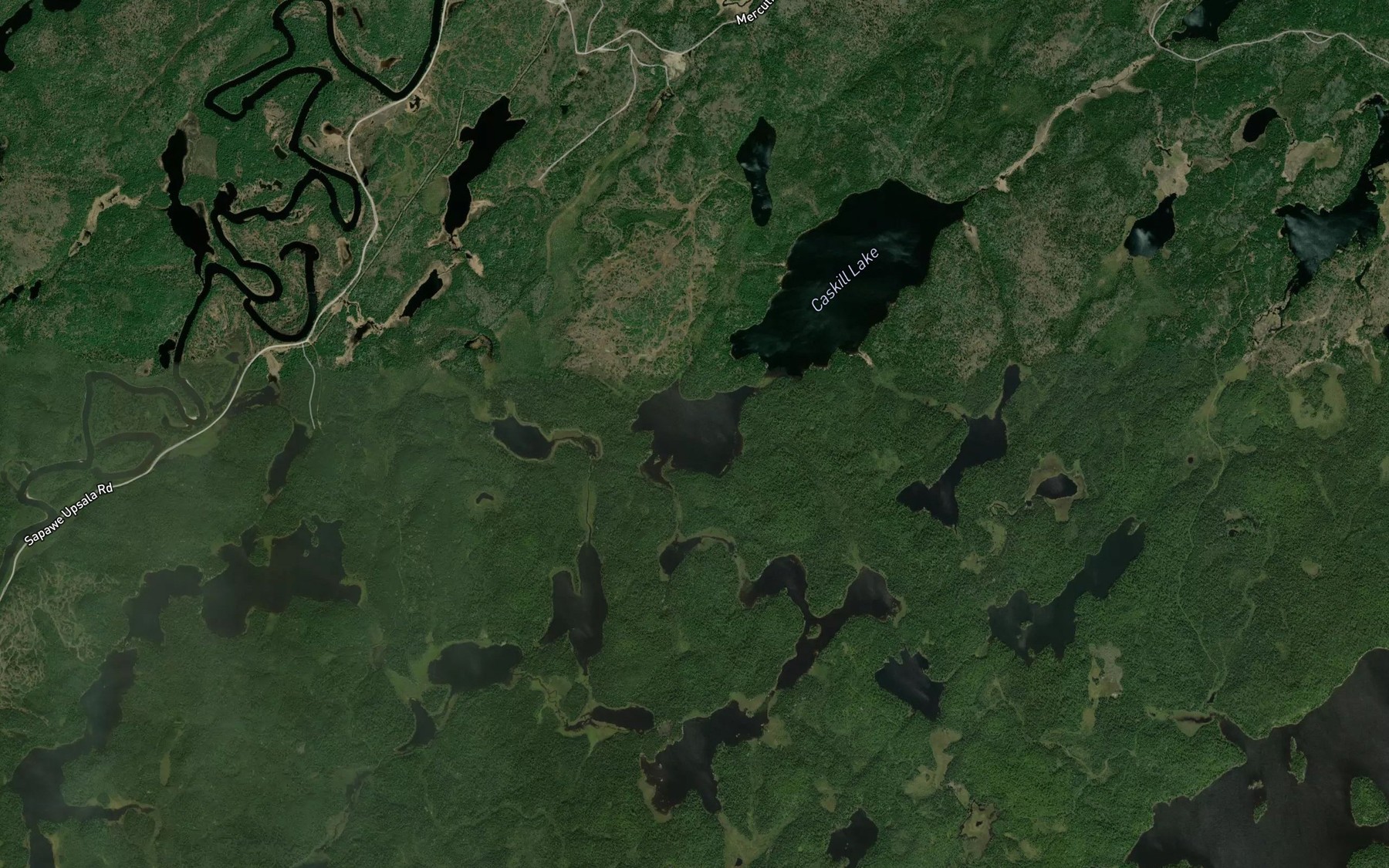 Satellite map of the Little Caskill Lake