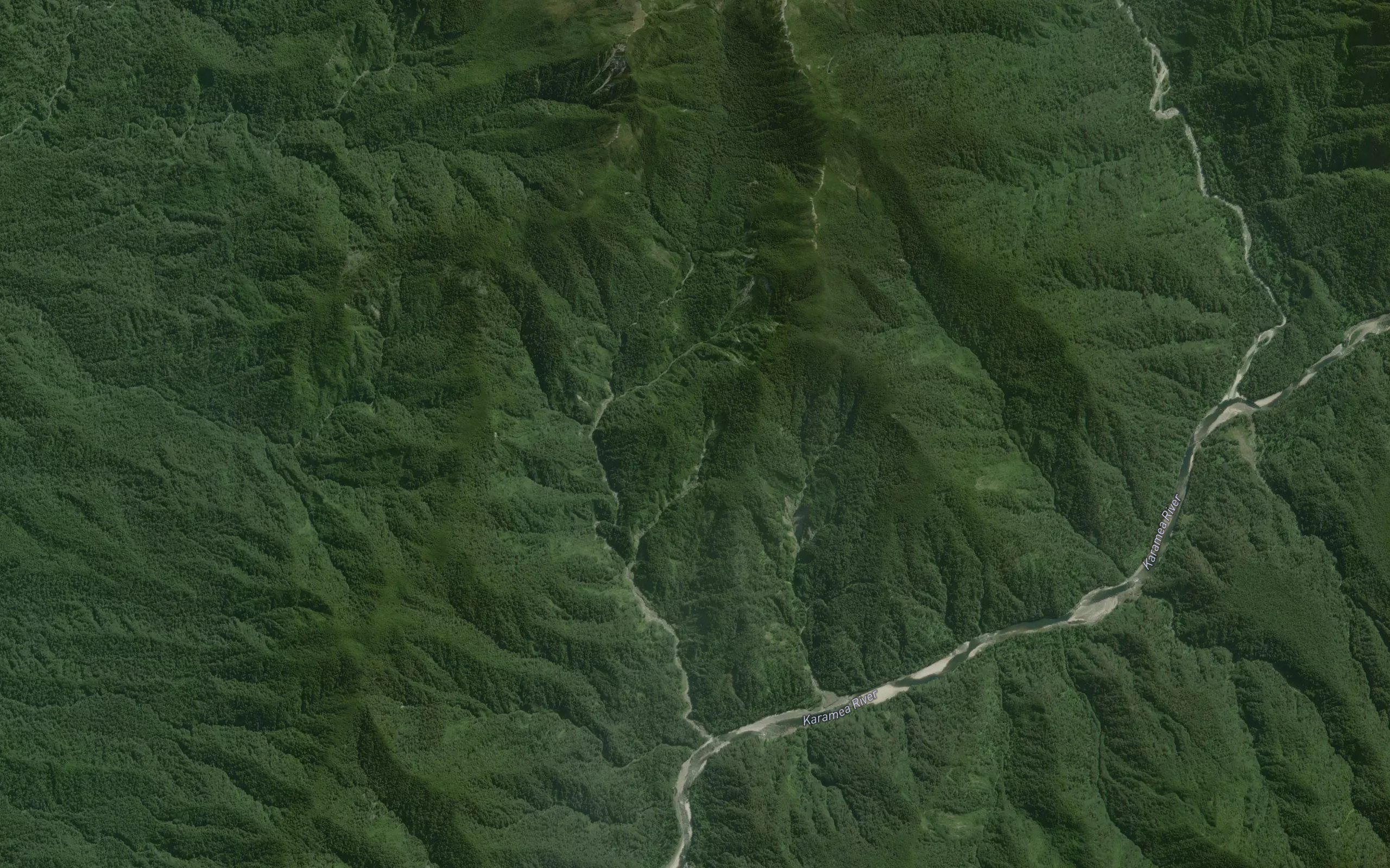 Fuchsia Creek