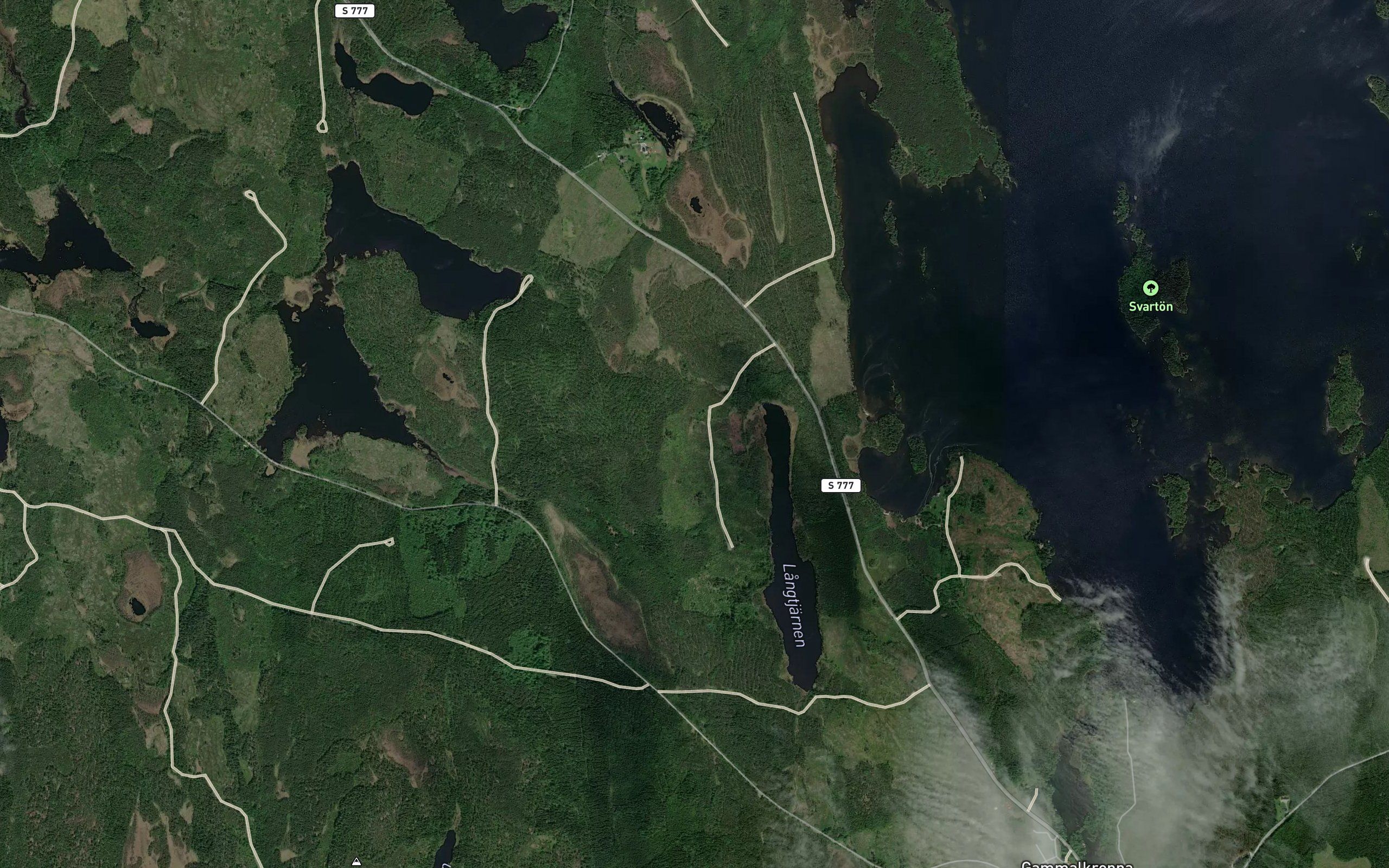 Langtjarn