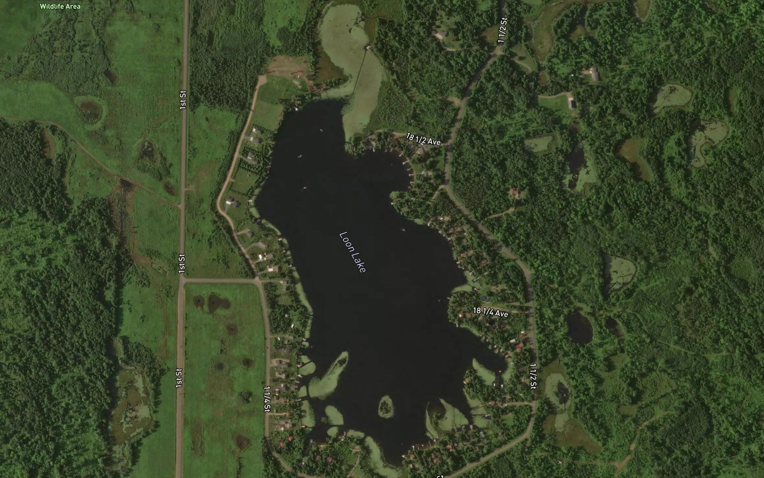 Loon Lake