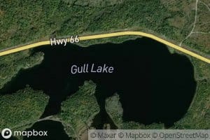 Gull Lake