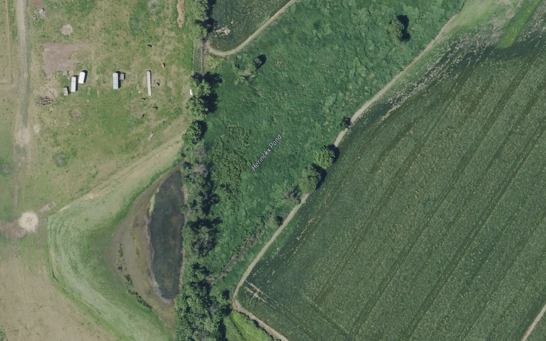Satellite map of the Herinckx Pond