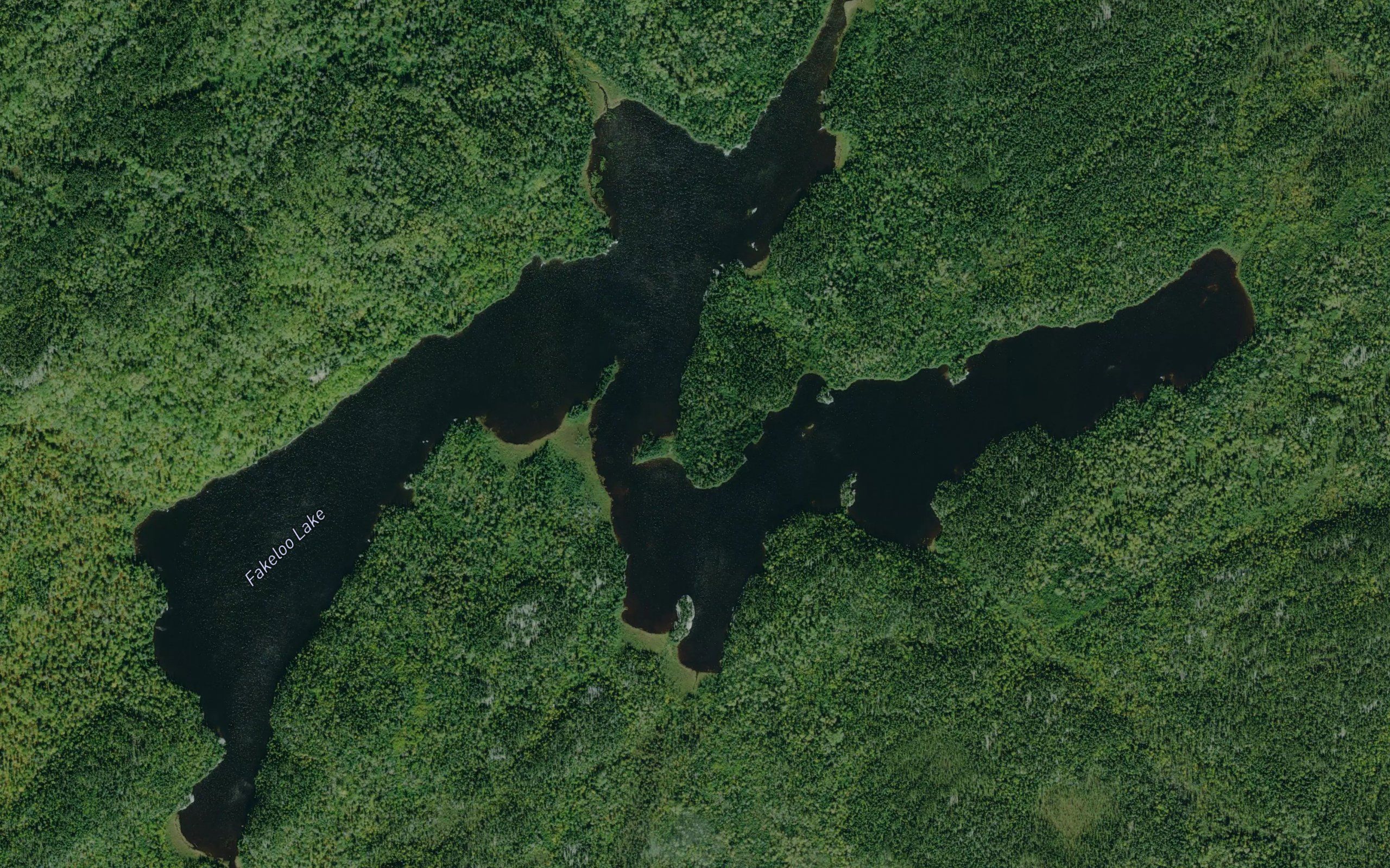 Fakeloo Lake