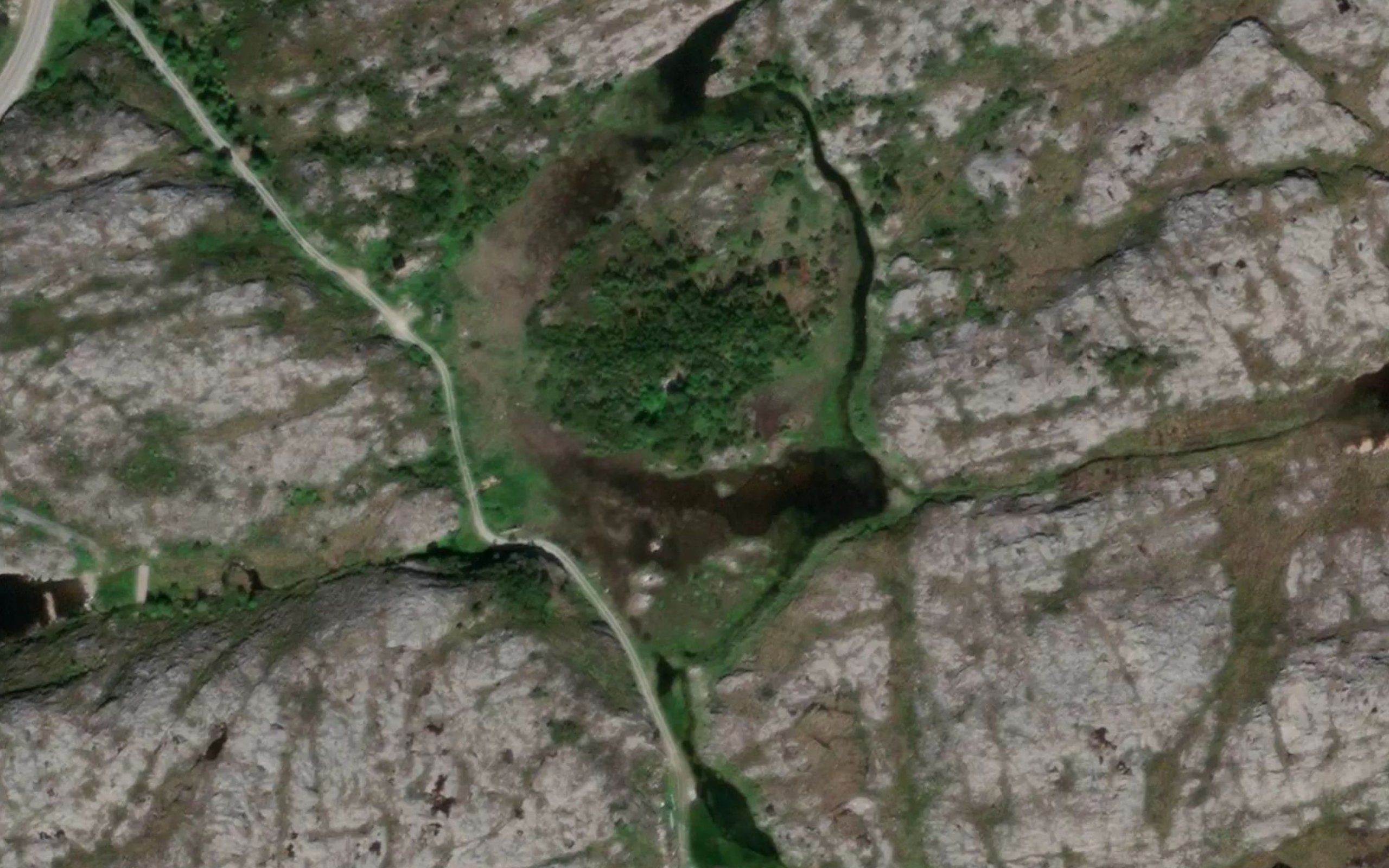 Smettartjorna