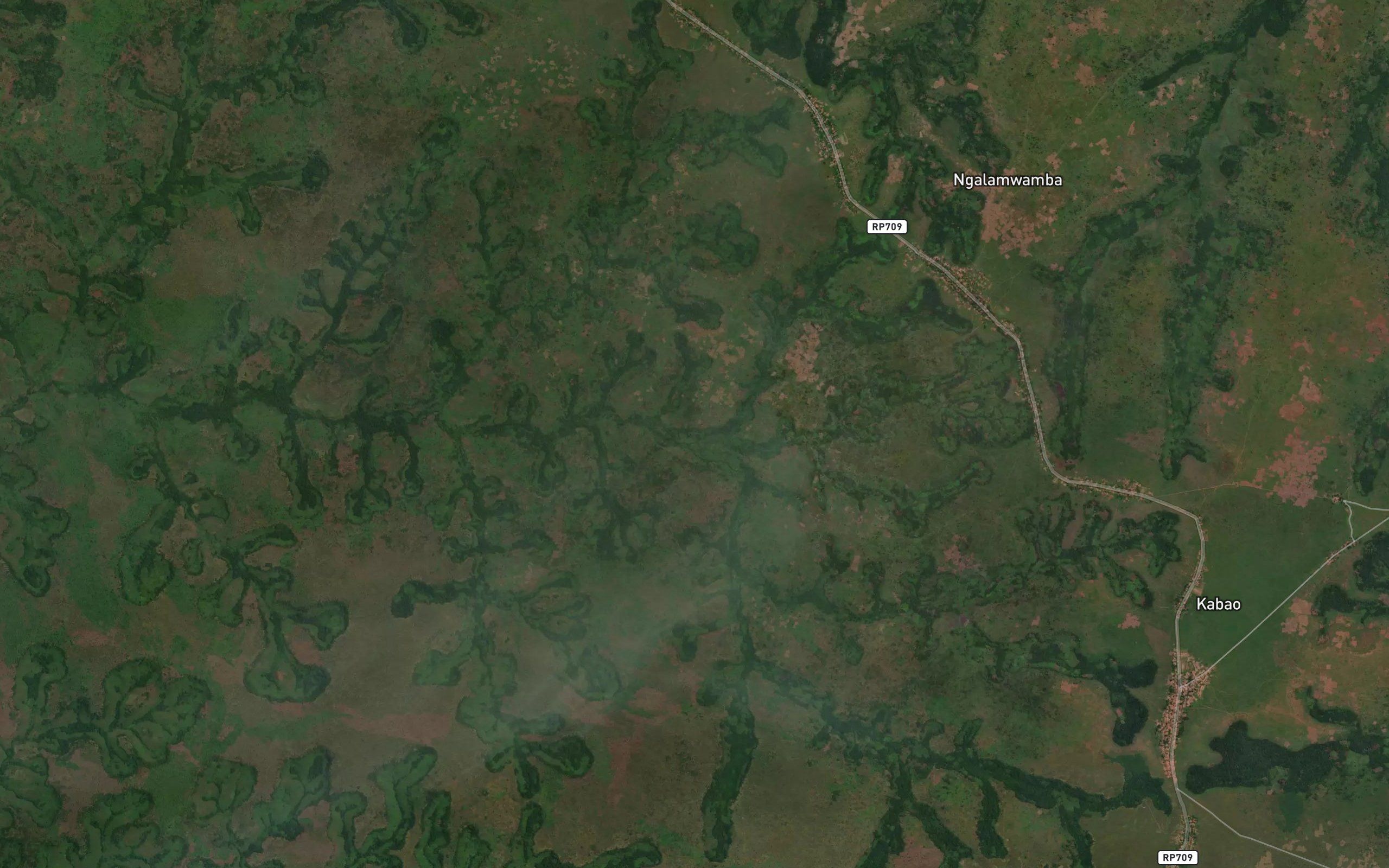 Kangulube