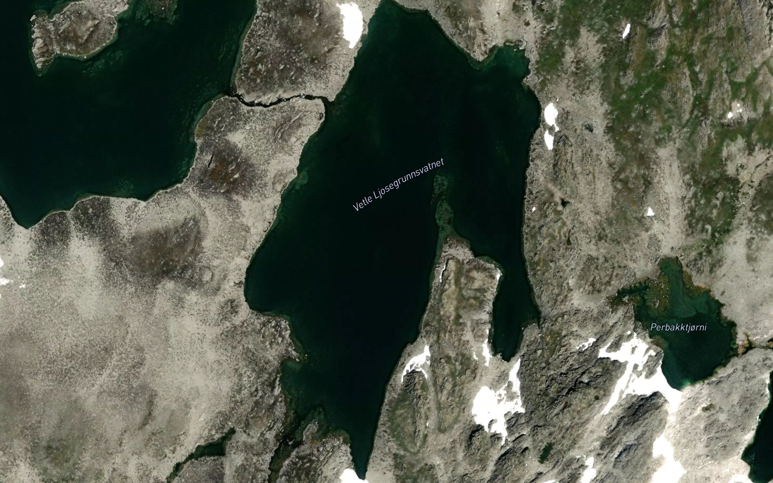 Vetle Ljosegrunnsvatnet