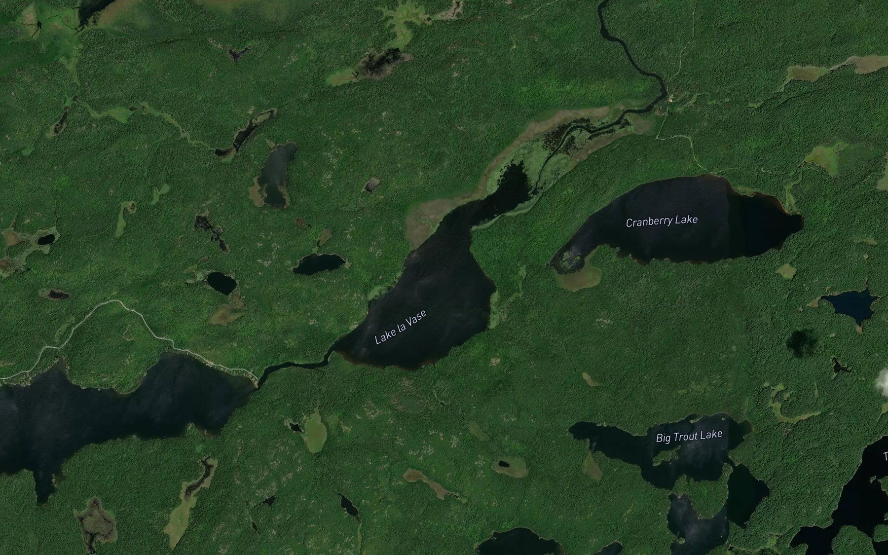 Satellite map of the Lake la Vase