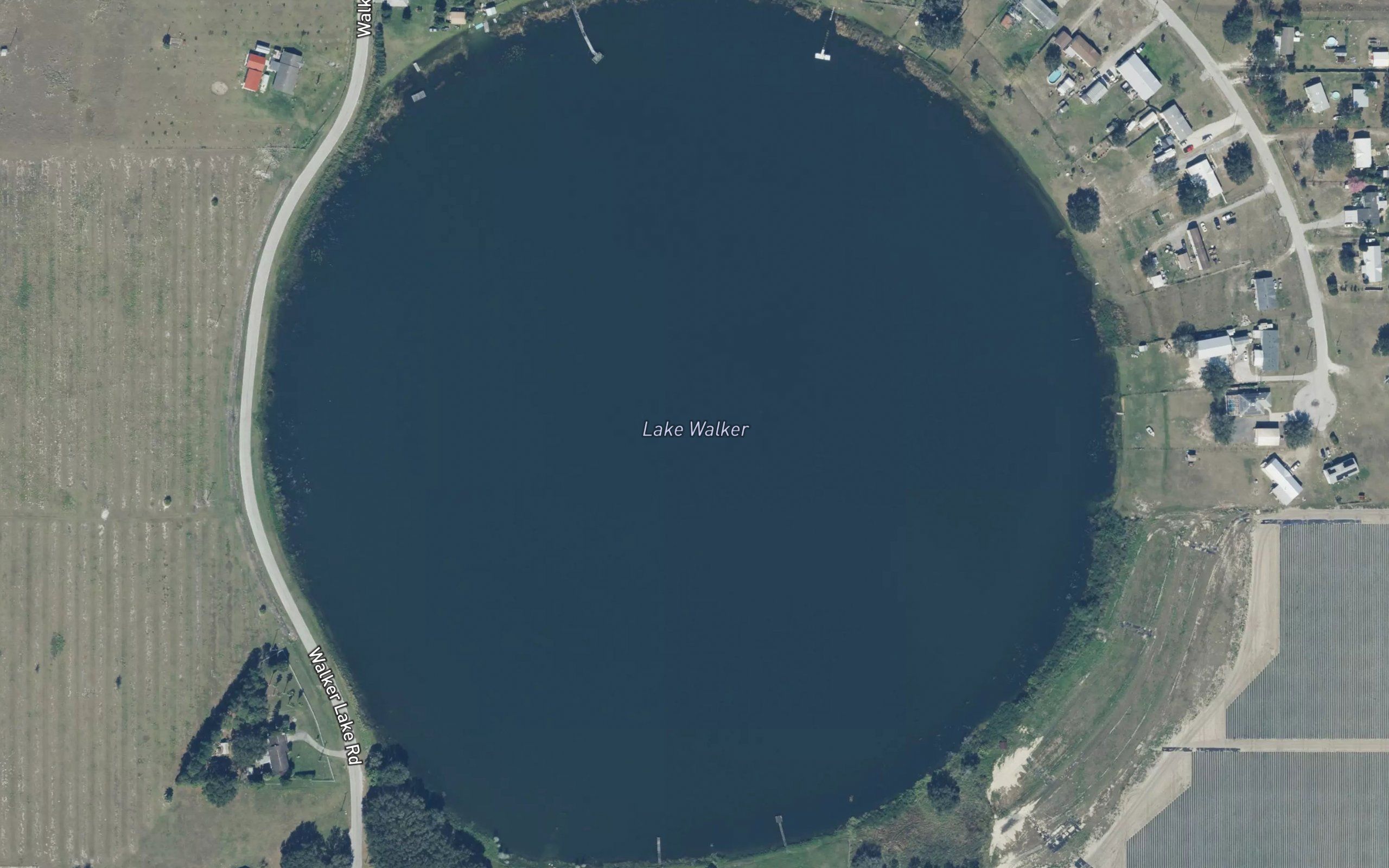 Lake Walker
