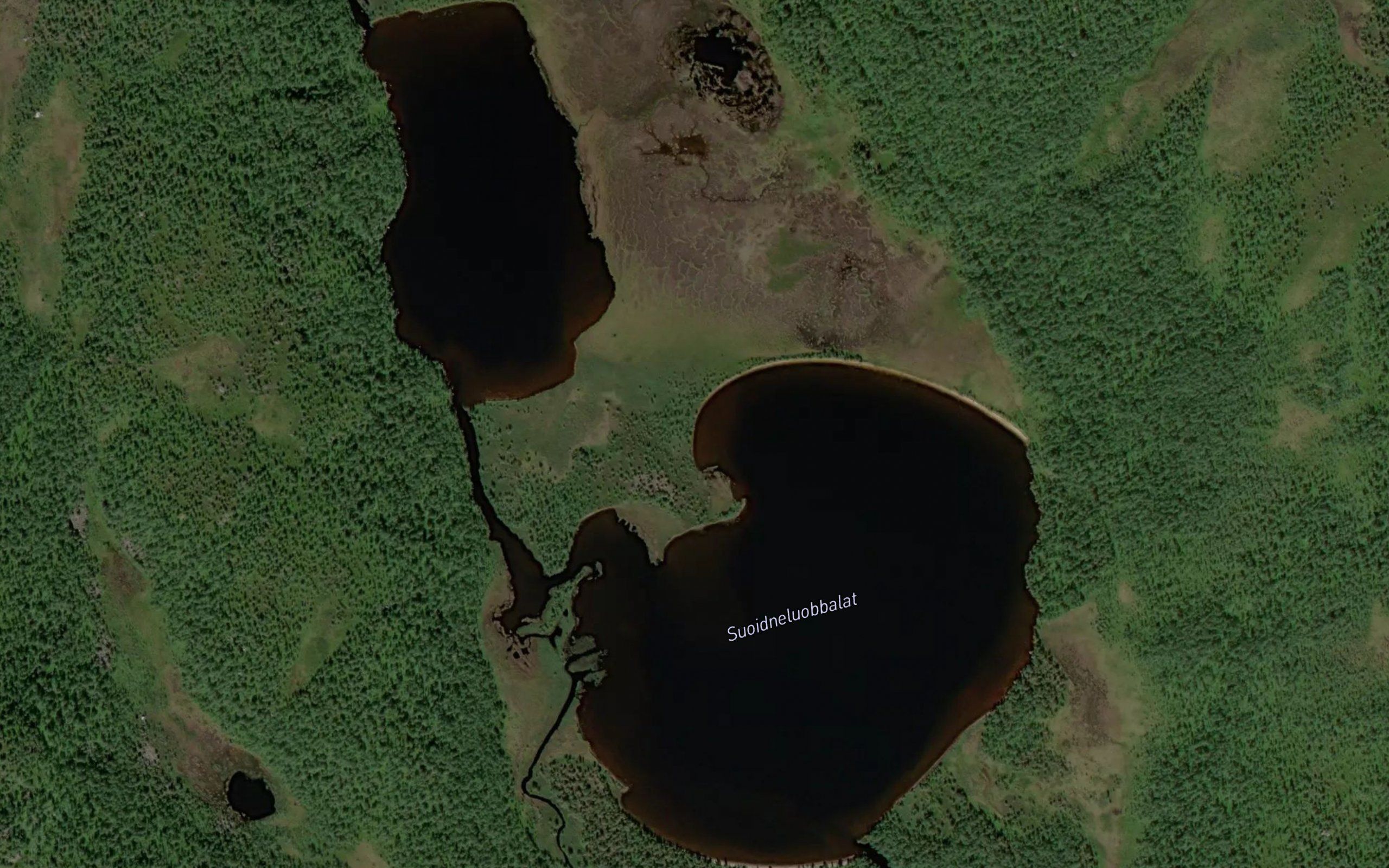 Sennagrasvatna