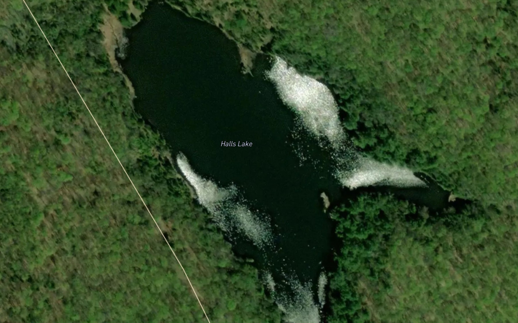 Satellite map of the Halls Lake