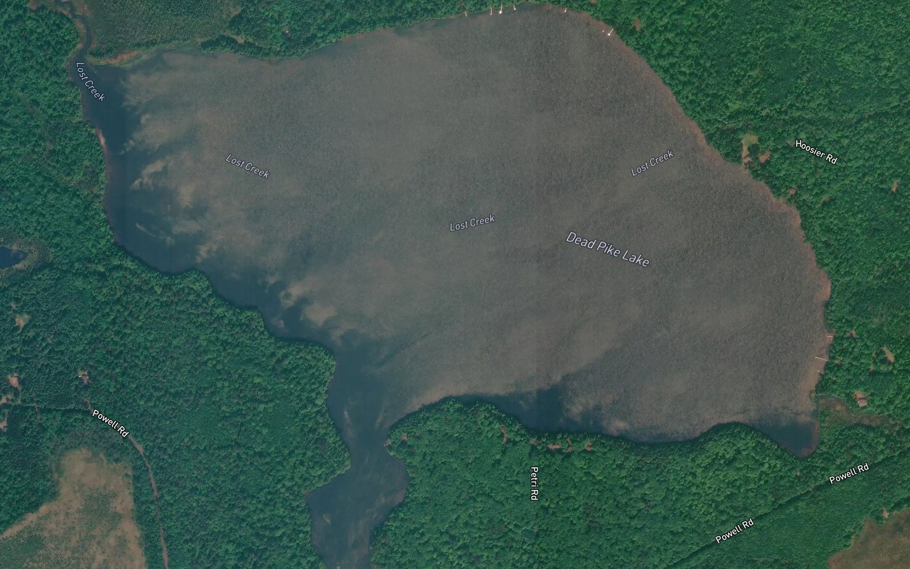 Satellite map of the Dead Pike Lake