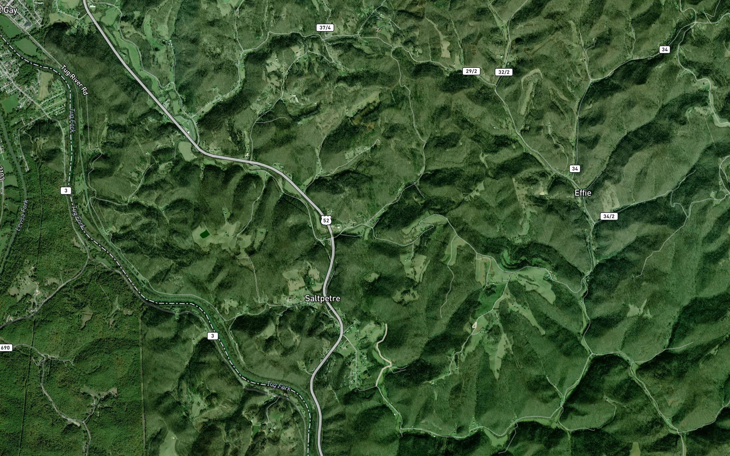 Trace Branch