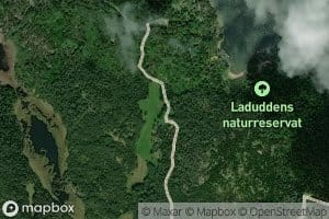Ladviken