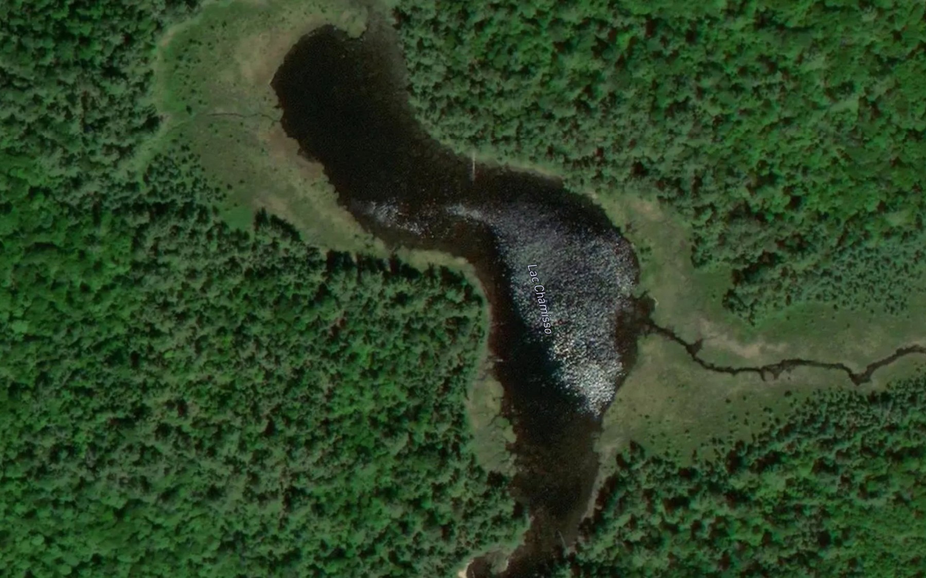 Satellite map of the Lac Chamisso