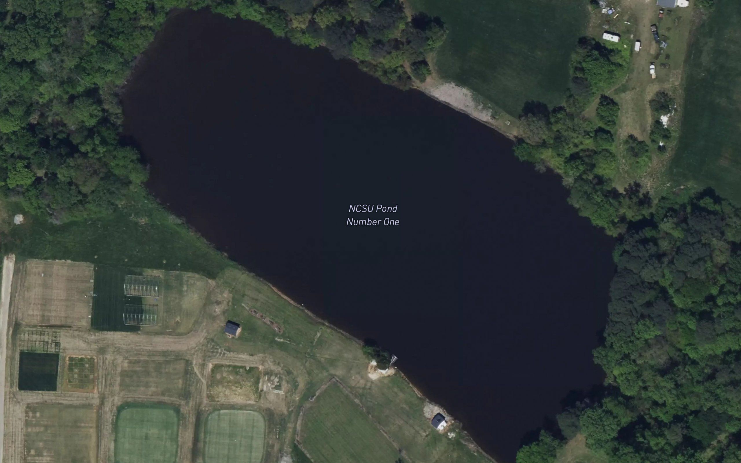 NCSU Pond Number One