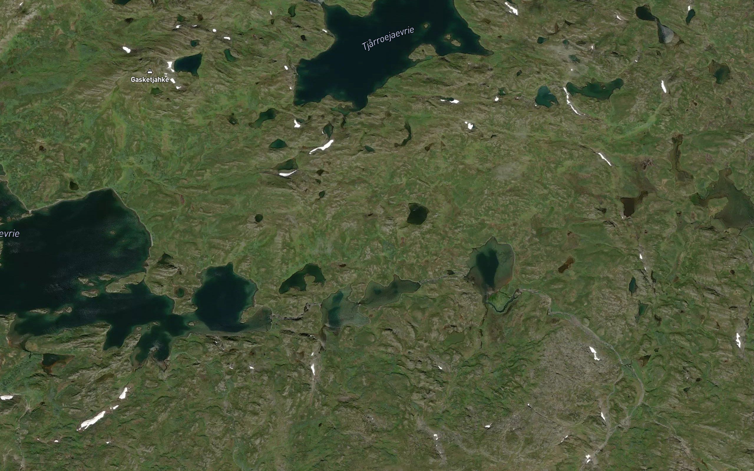 Tjarronjaure