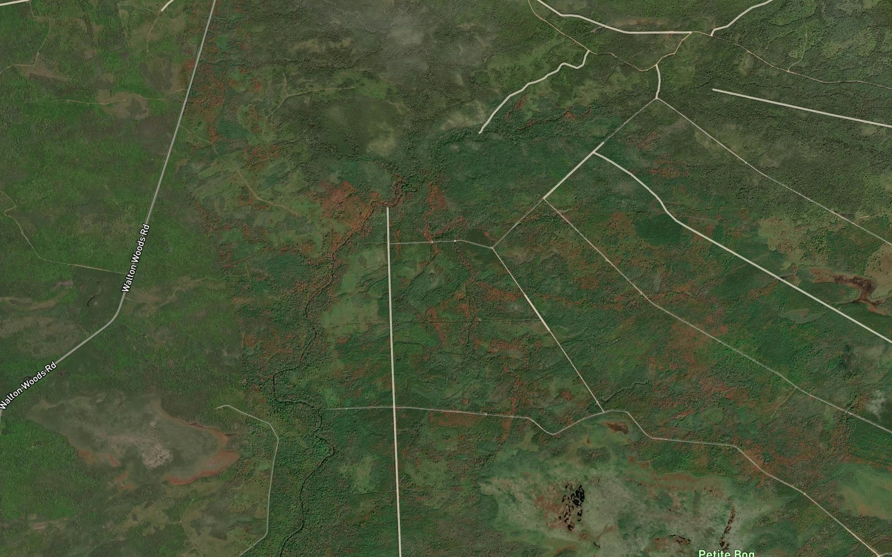 Satellite map of the Cox Brook