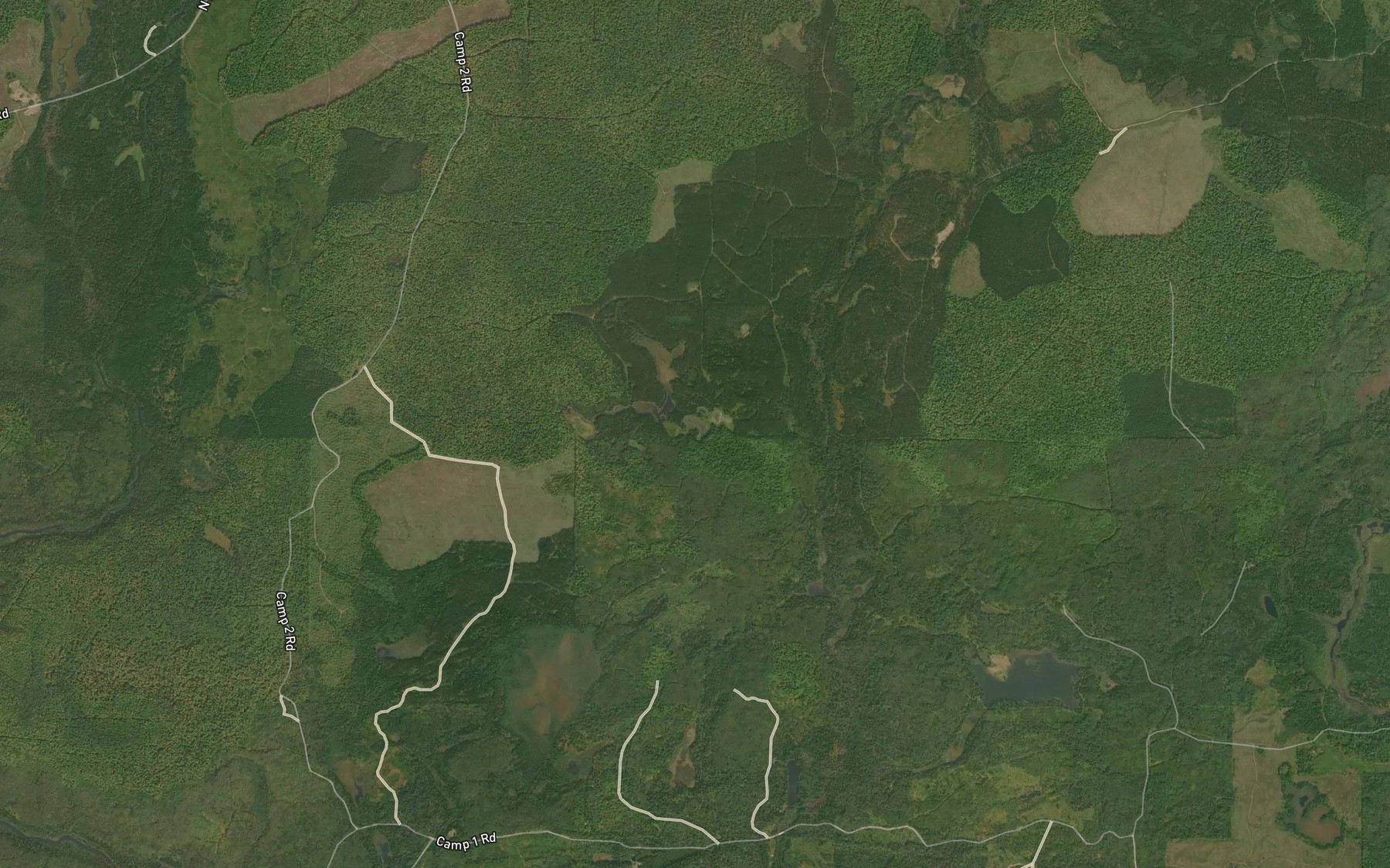 Satellite map of the Crane Lake