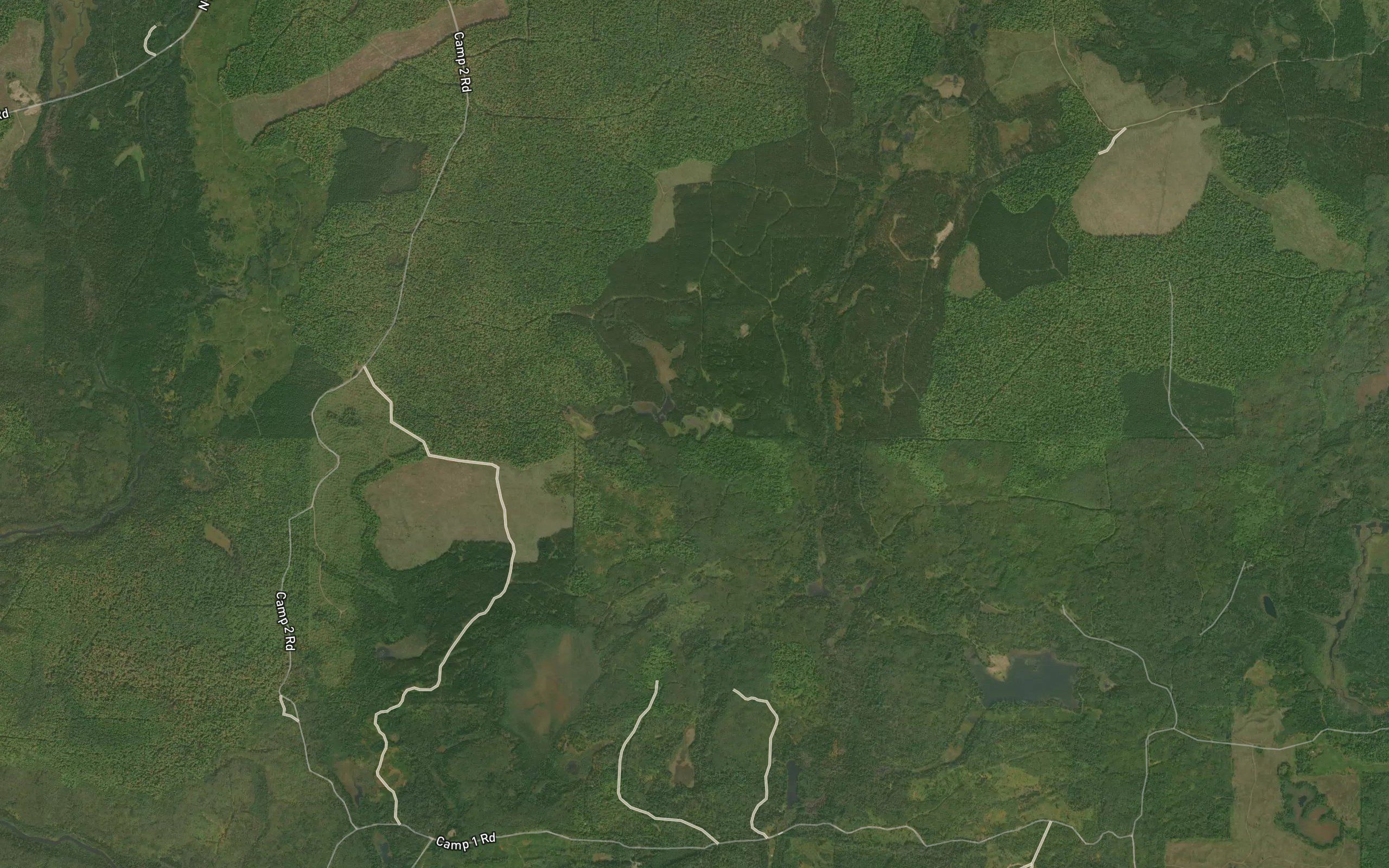 Crane Lake