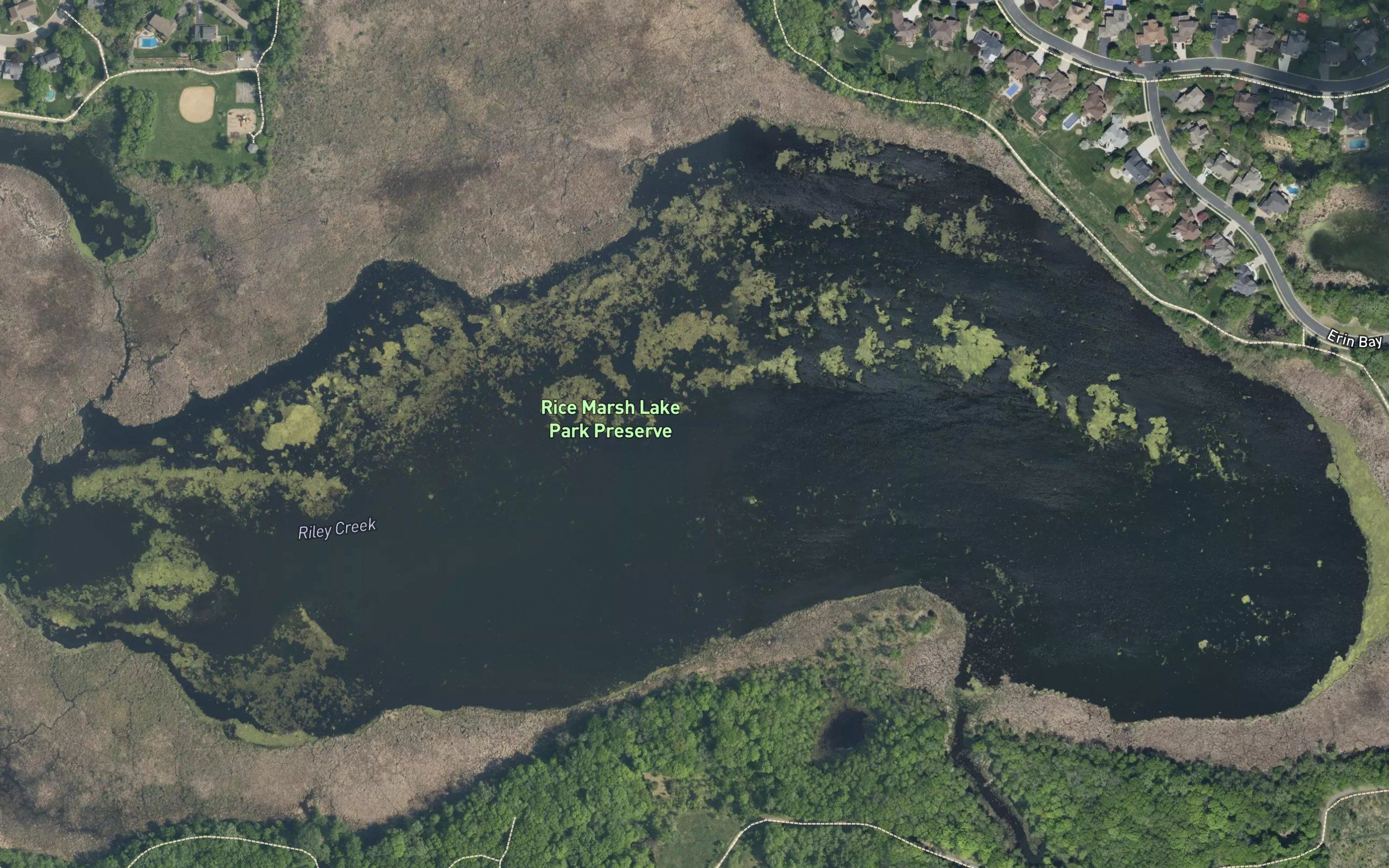 Rice Marsh Lake