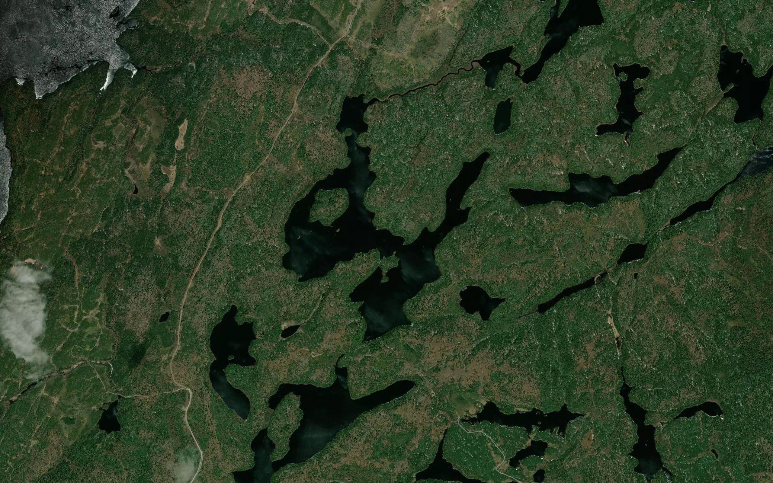 Leach Lake