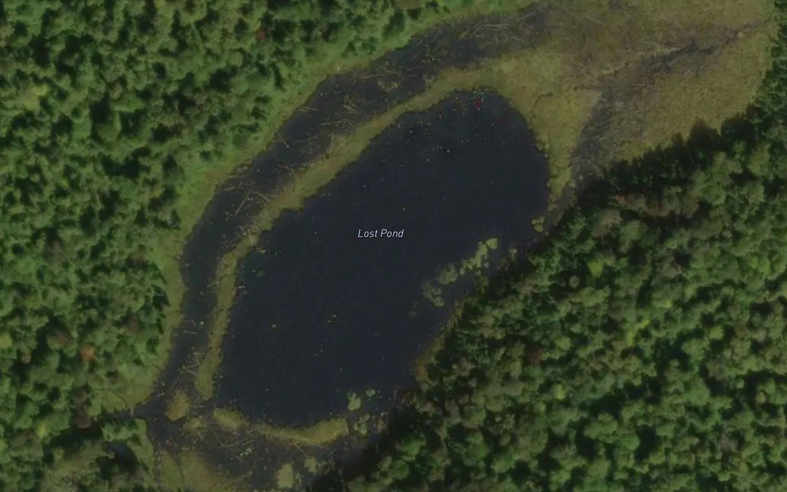 Lost Pond