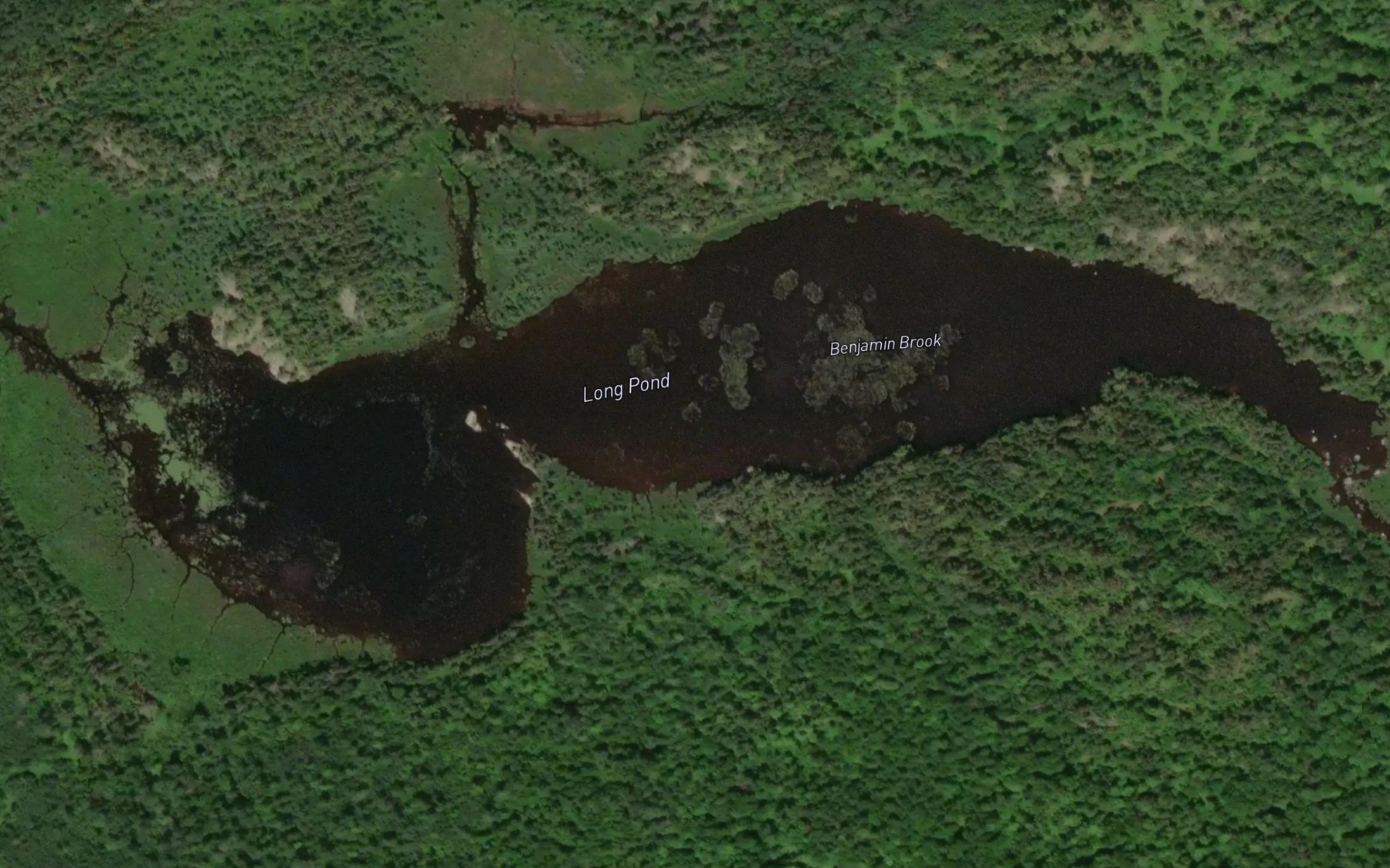 Satellite map of the Long Pond