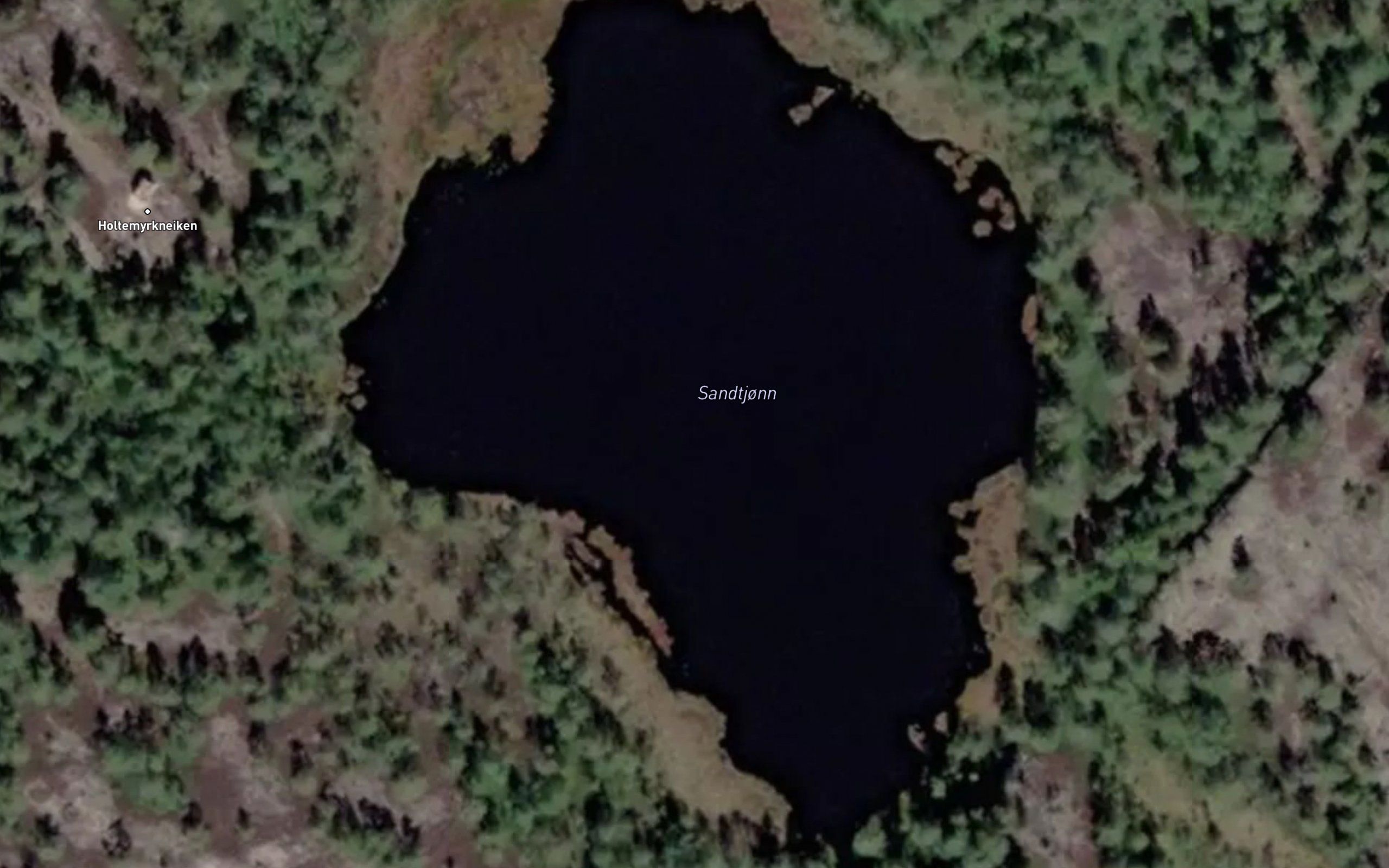 Sandtjorn
