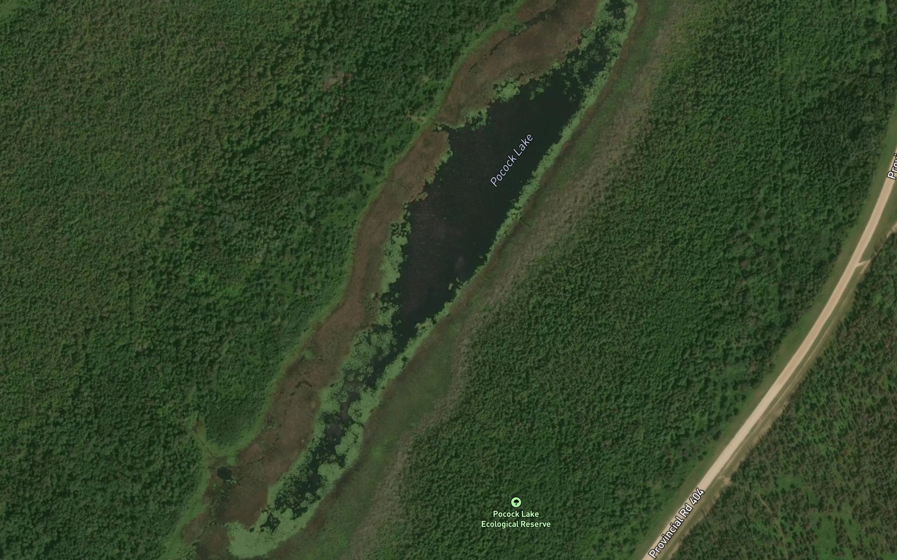 Satellite map of the Pocock Lake