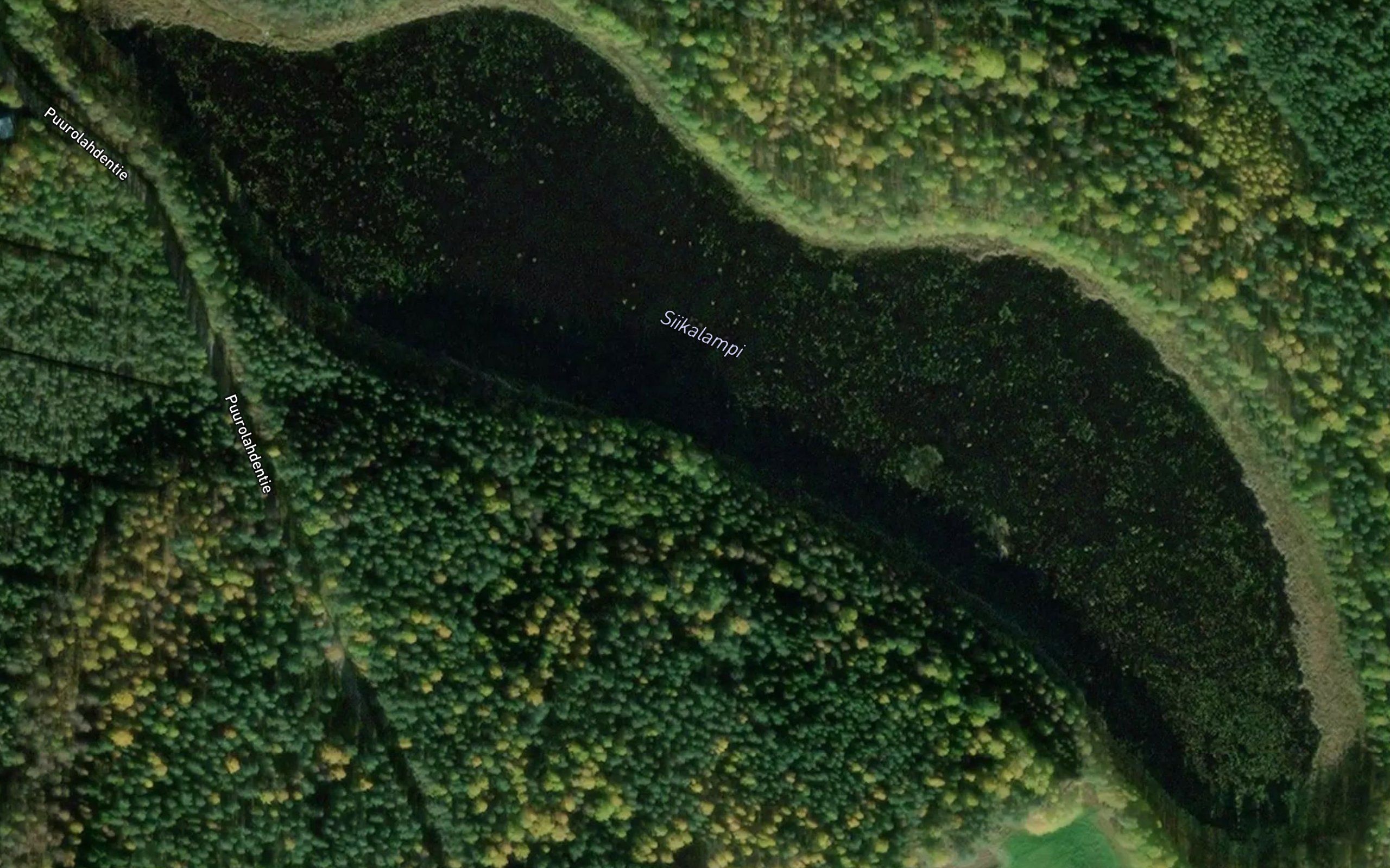 Siikalampi