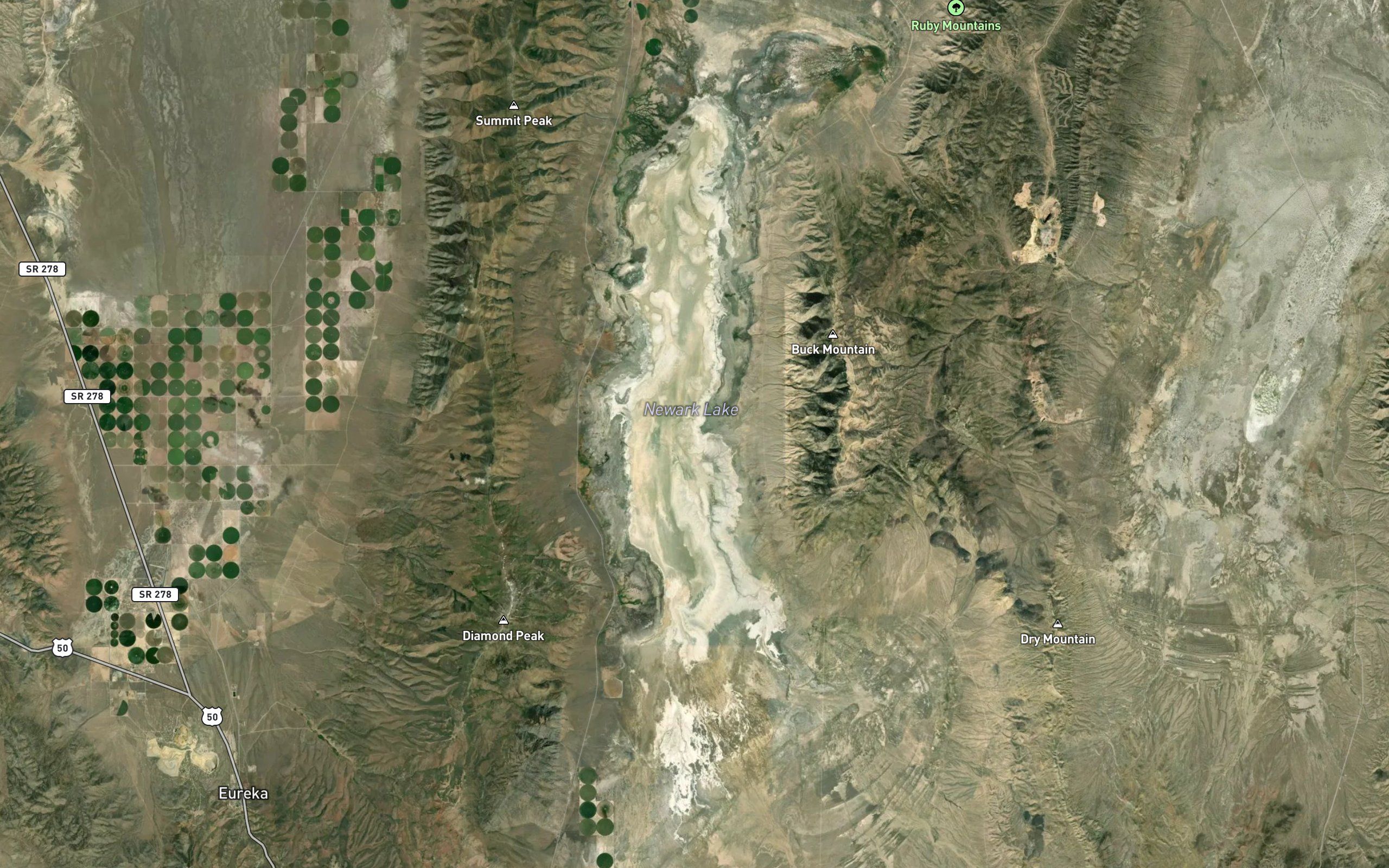 Minoletti Spring
