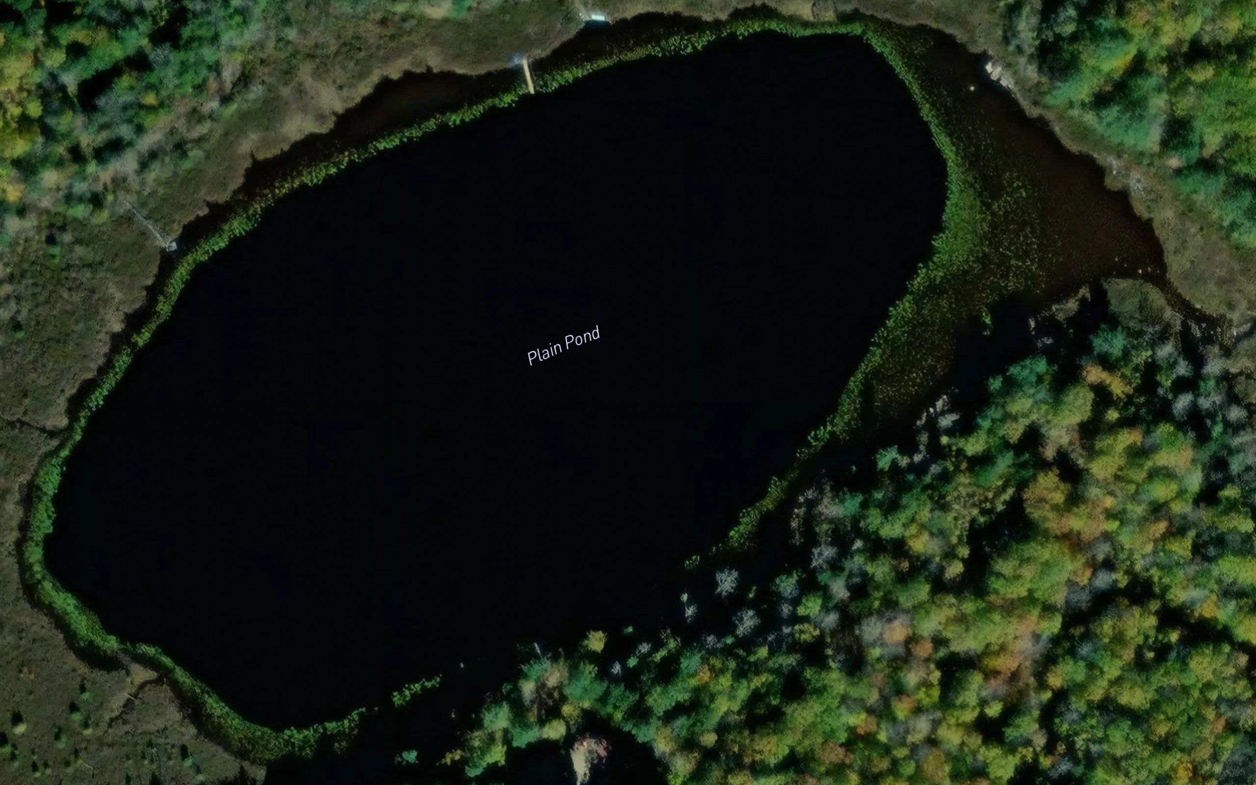 Plain Pond