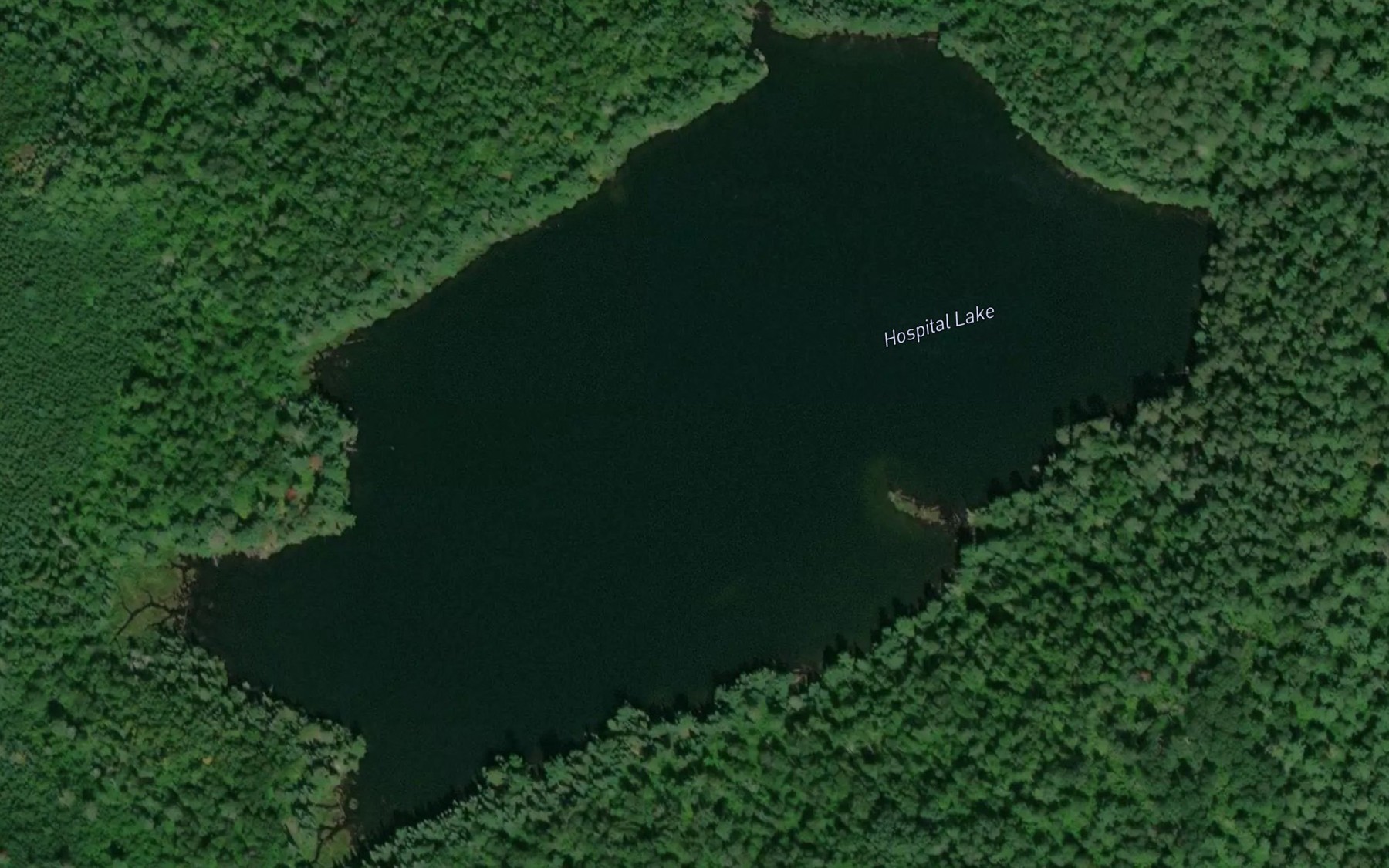 Satellite map of the Hospital Lake