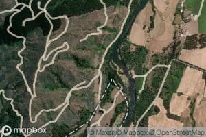Estero Lineco