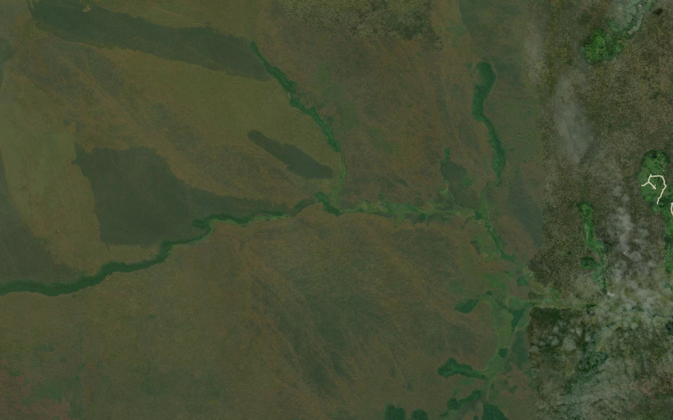 Kangumba